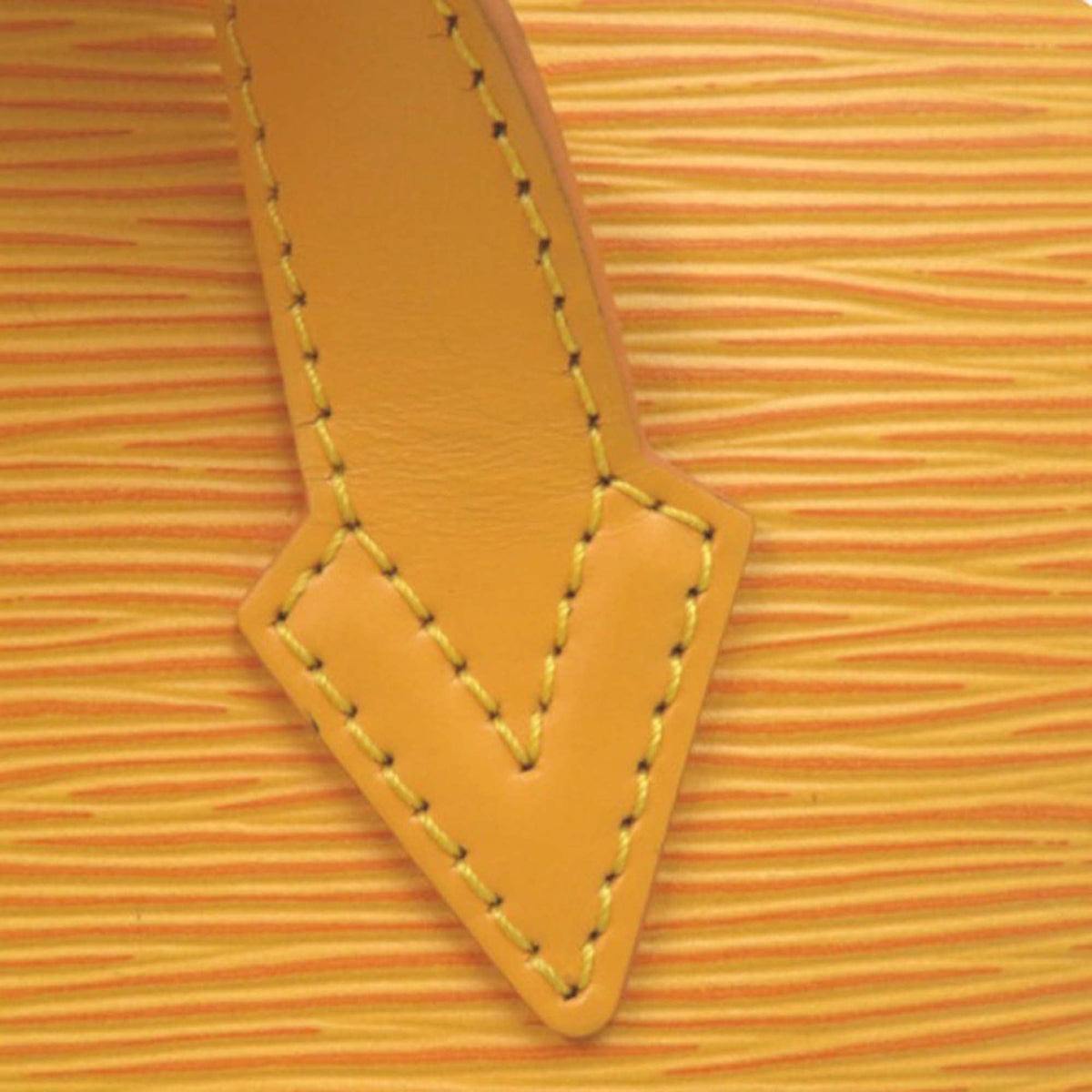 Louis Vuitton Epi Saint Jacques GM Long Strap