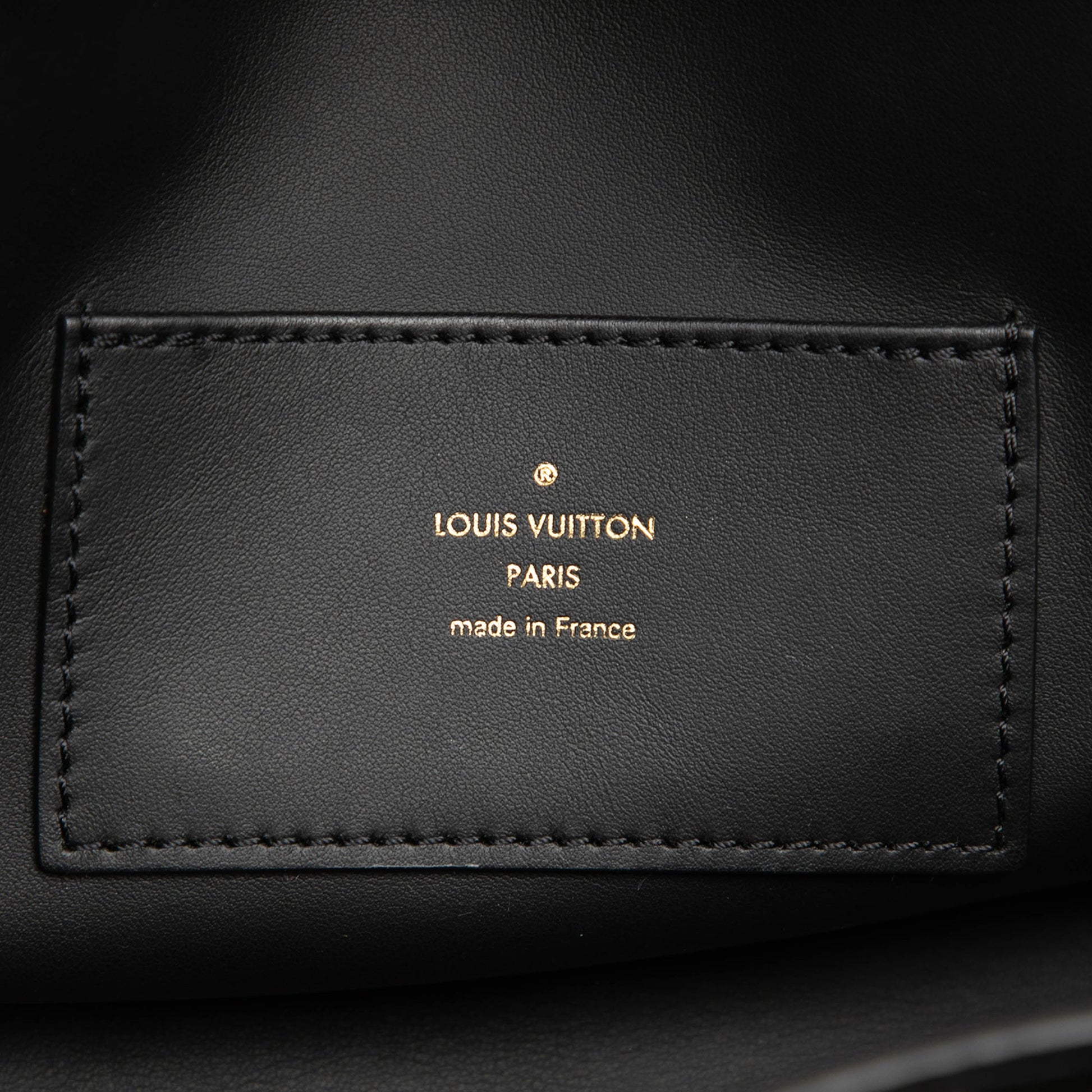 Louis Vuitton Smooth Taurillon Capucines Souple GM
