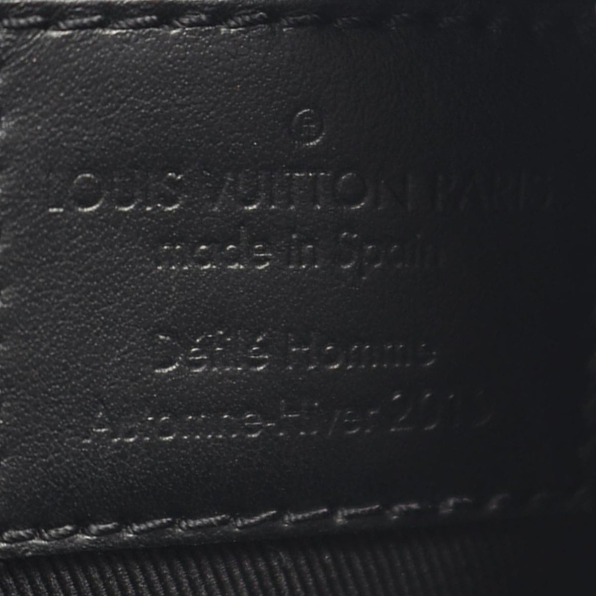 Louis Vuitton Taiga Rainbow Danube