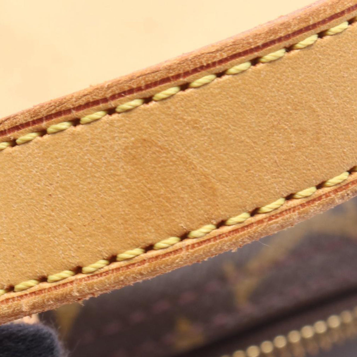 Louis Vuitton Monogram Excursion — Brown