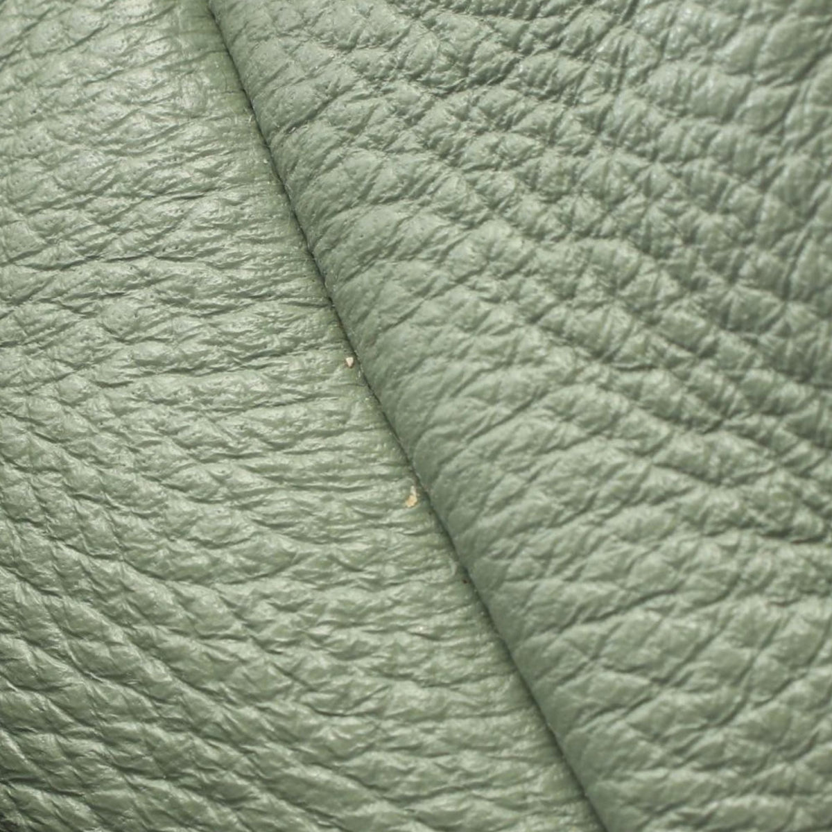 Bottega Veneta Leather Hobo Bag — Green