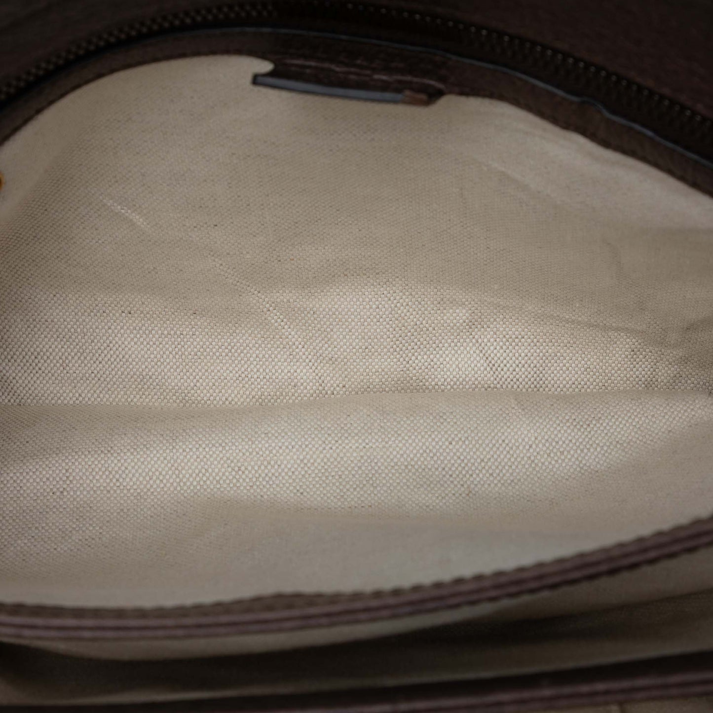 Medium GG Supreme Web Ophidia Crossbody
