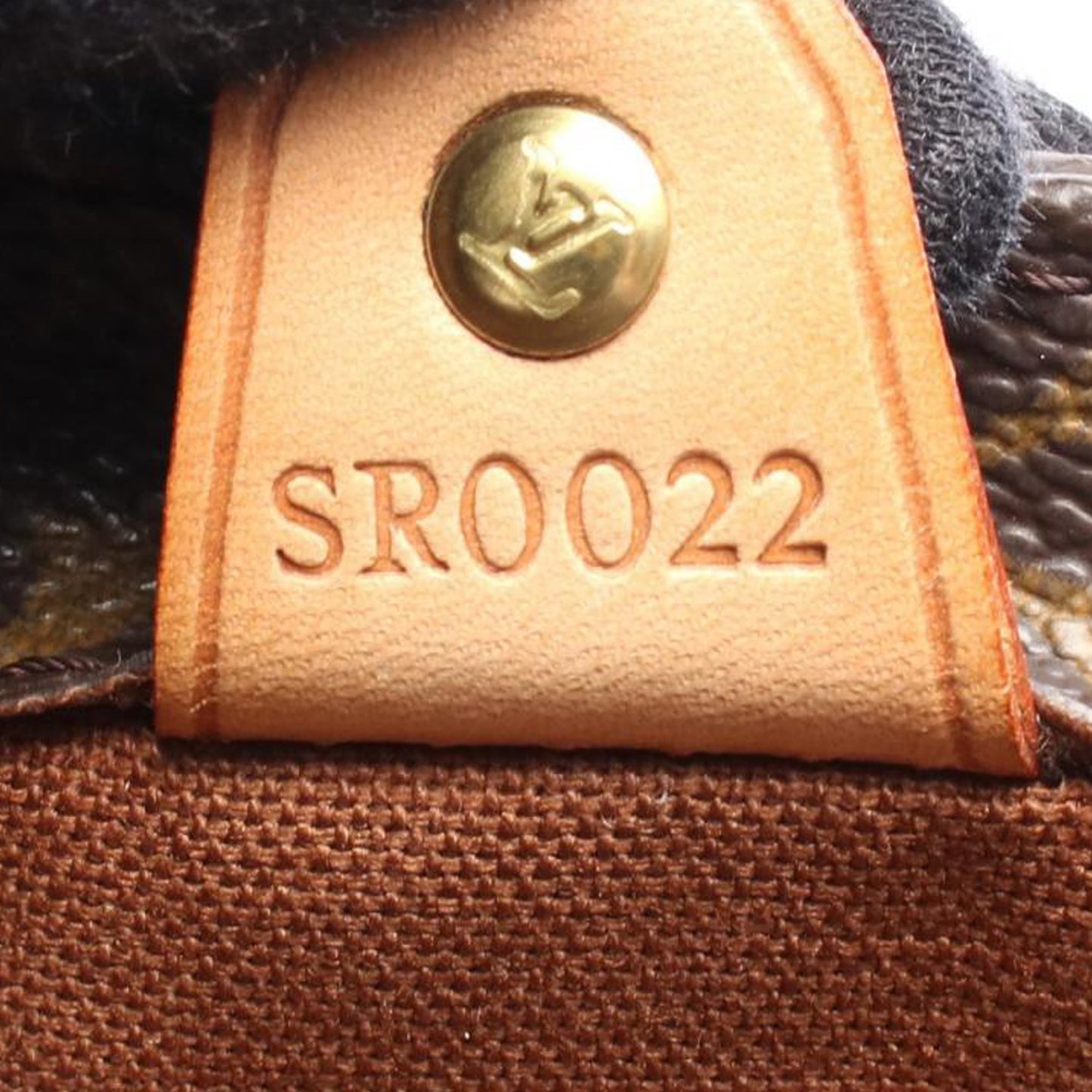 Louis Vuitton Monogram Vavin PM