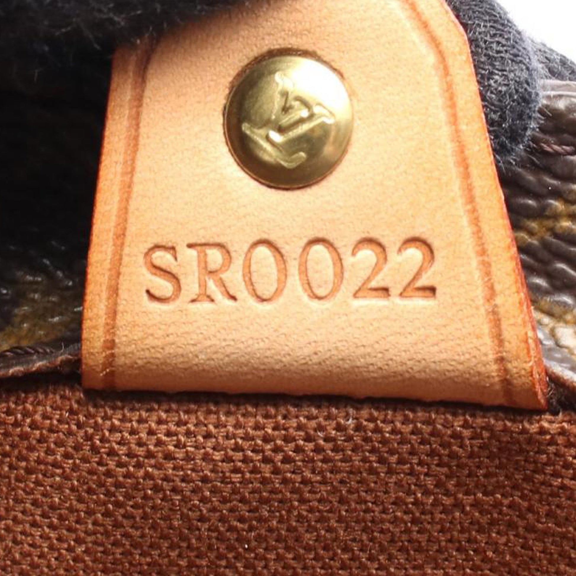 Louis Vuitton Monogram Vavin PM
