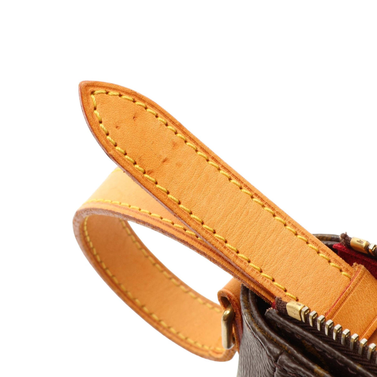 Louis Vuitton Monogram Viva Cite PM — Brown