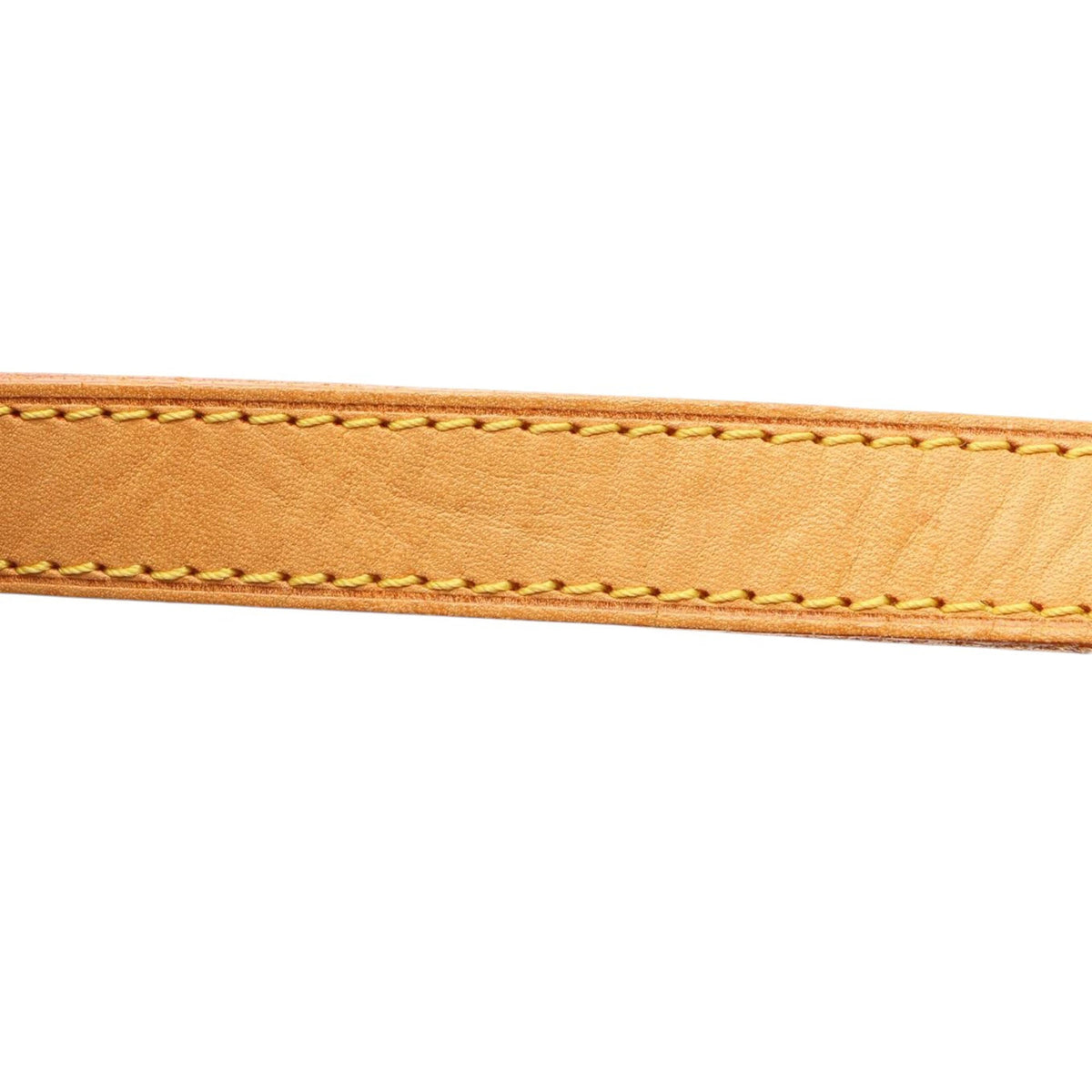 Louis Vuitton Monogram Viva Cite PM — Brown
