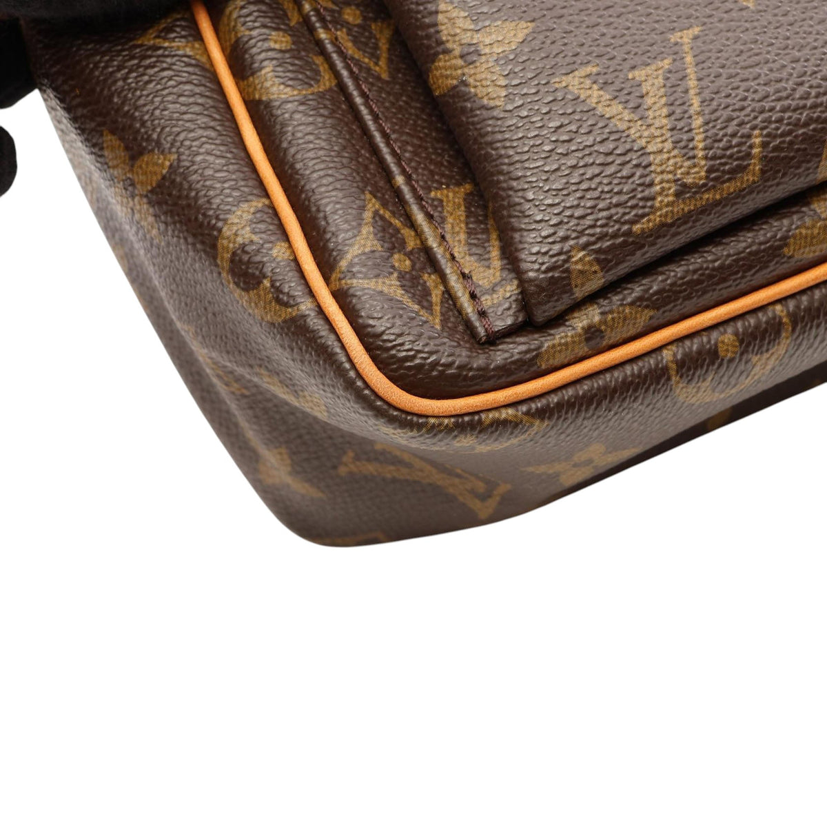 Louis Vuitton Monogram Viva Cite PM — Brown