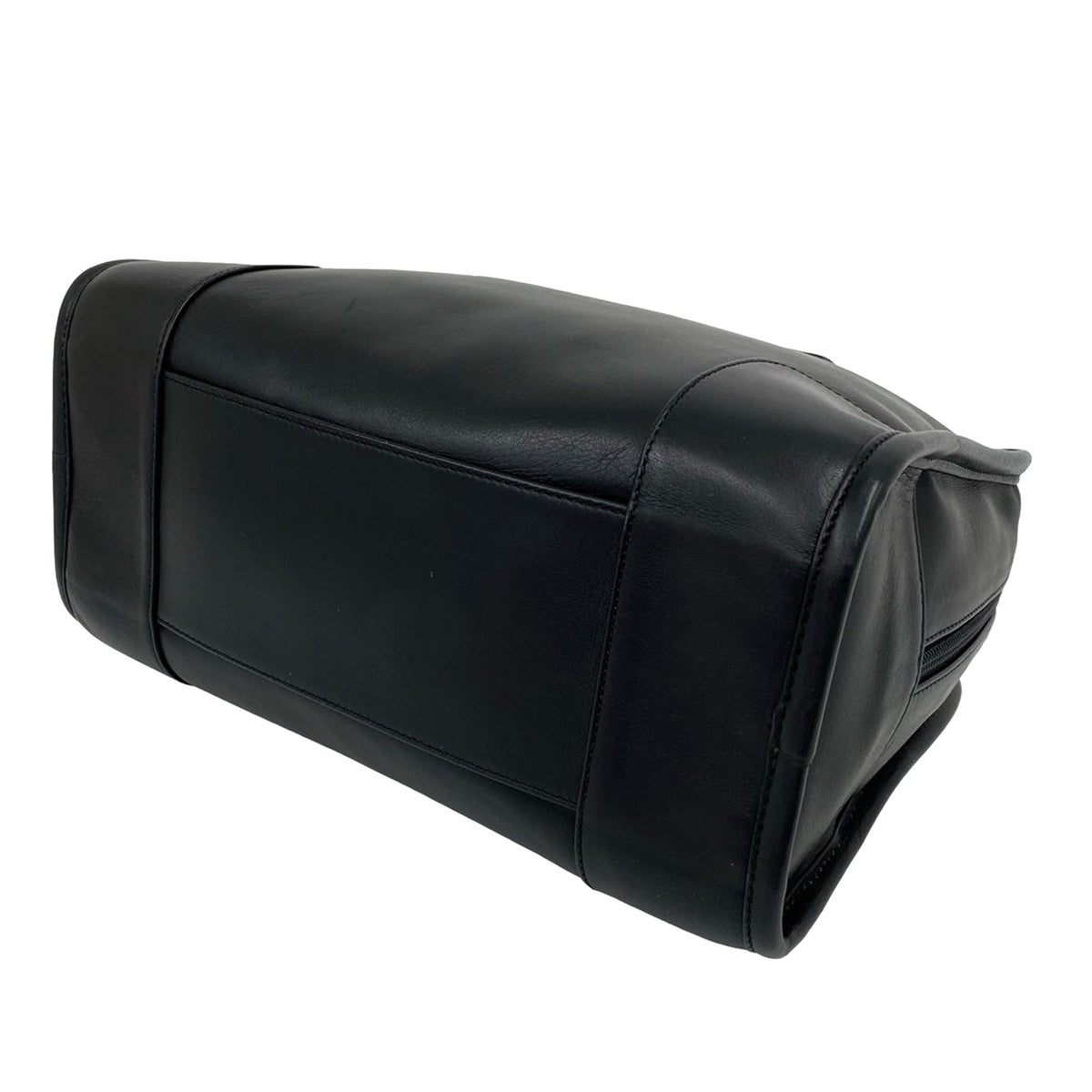 LOEWE Goatskin Amazona 28