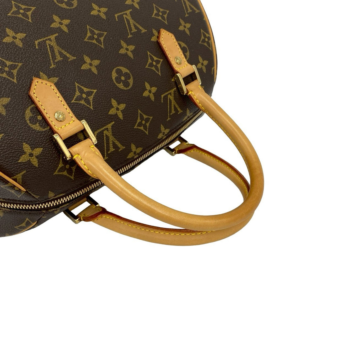 Louis Vuitton Monogram Ribera MM