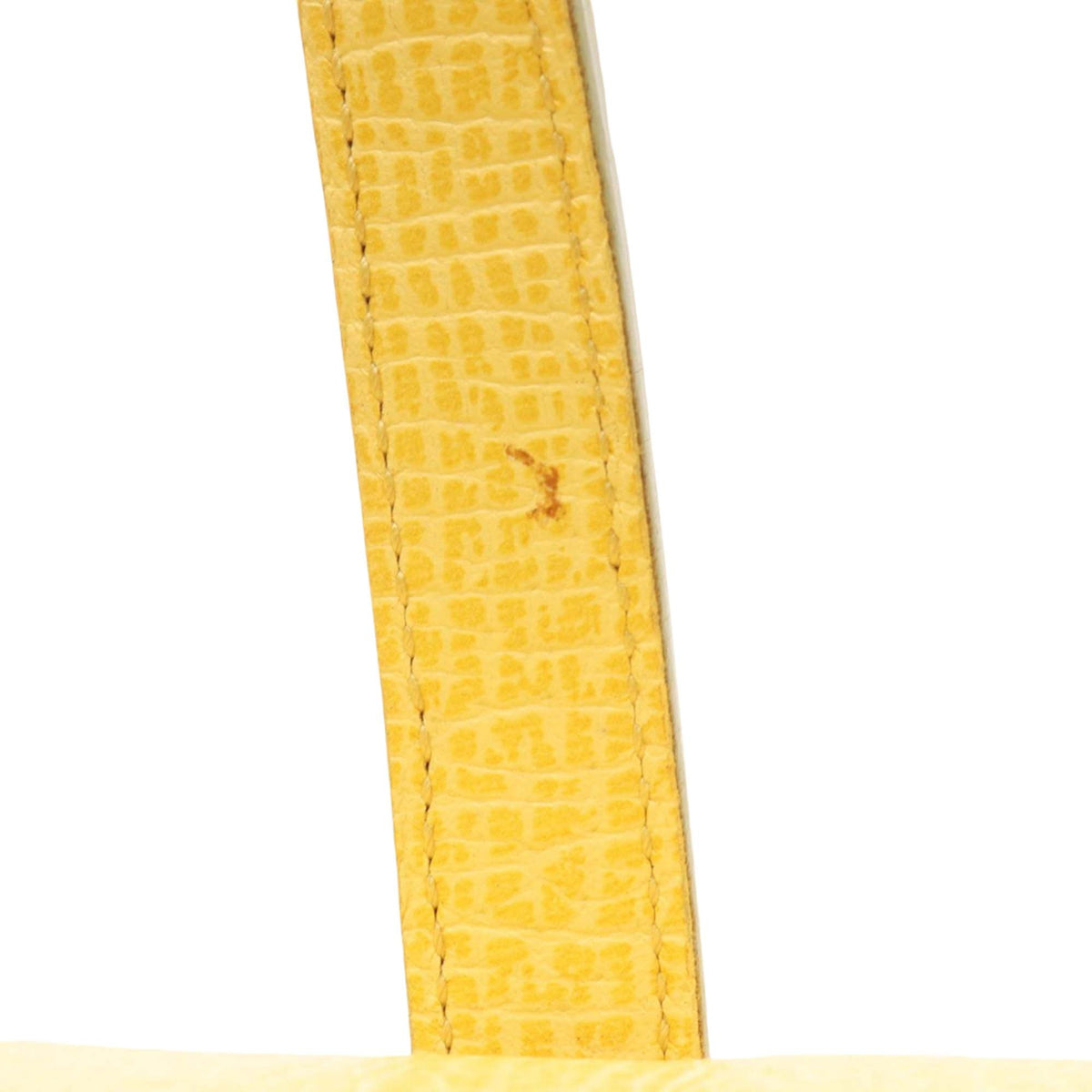 LOEWE Textured Leather Handbag — Yellow