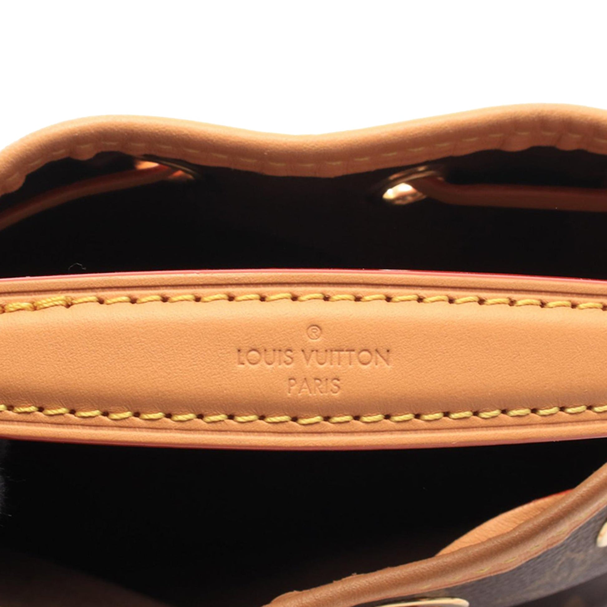 Louis Vuitton Monogram Nano Noe