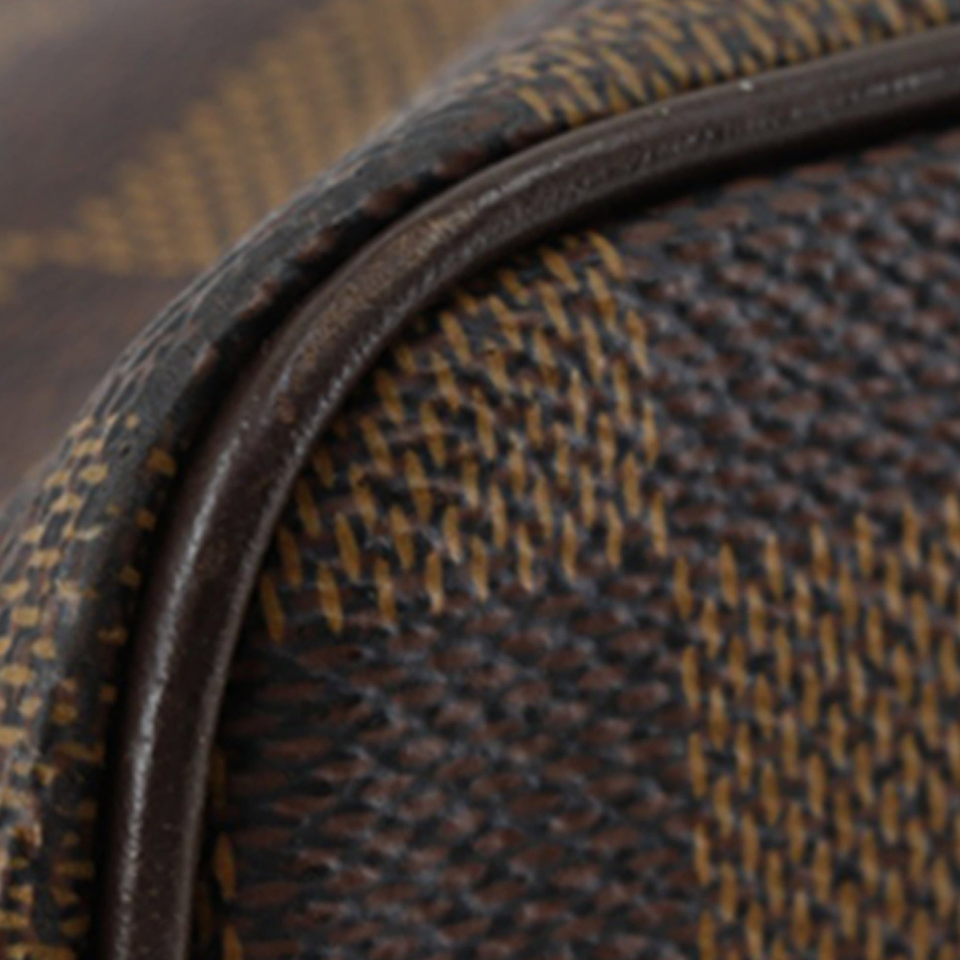 Louis Vuitton Damier Ebene Saleya PM