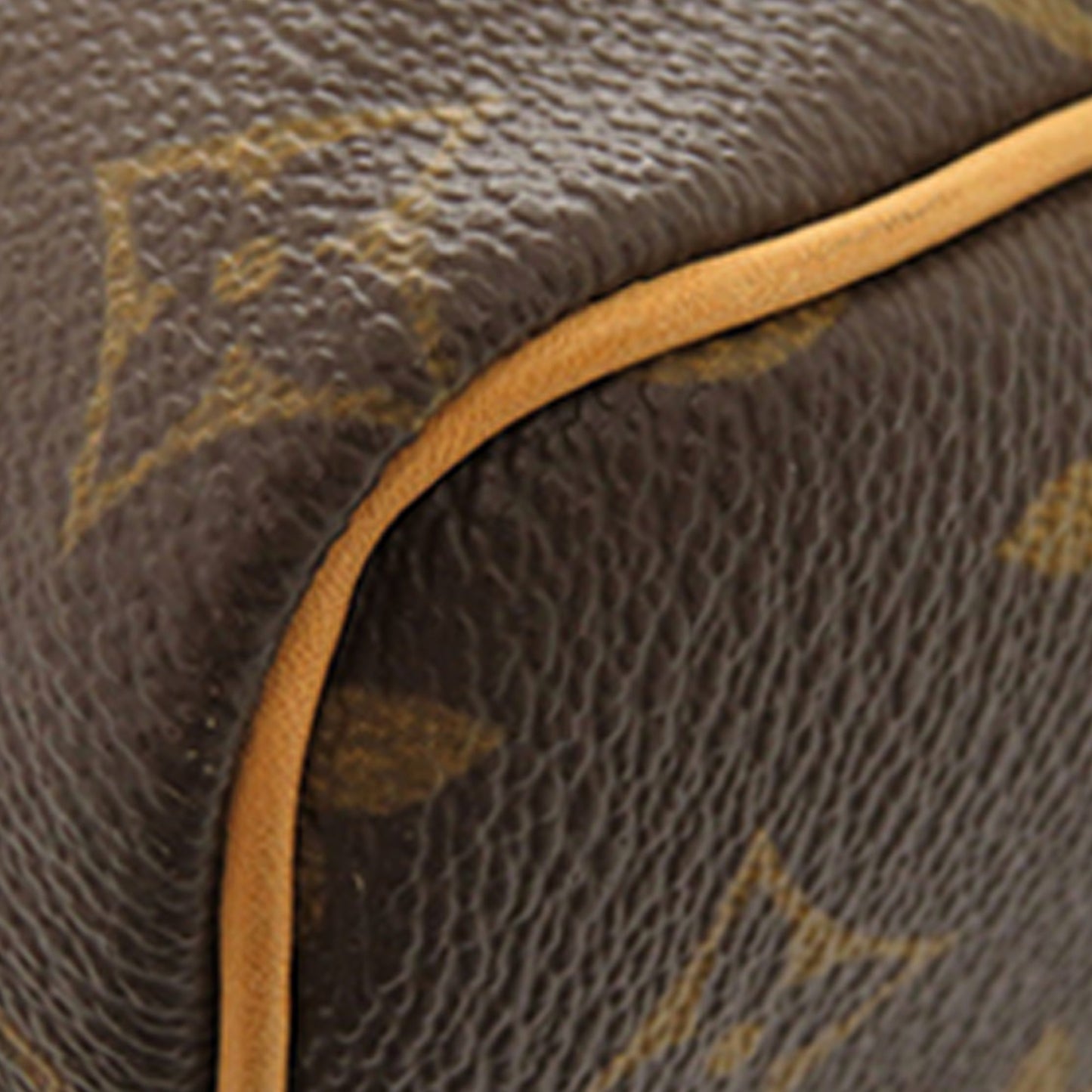 Louis Vuitton Monogram Speedy 25