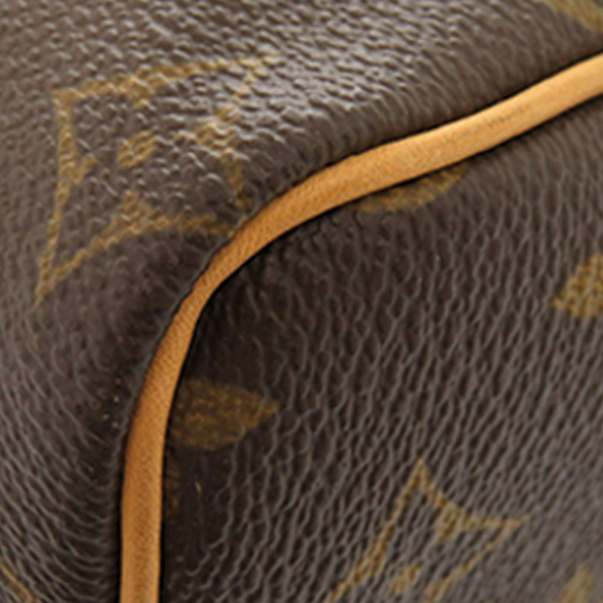 Louis Vuitton Monogram Speedy 25