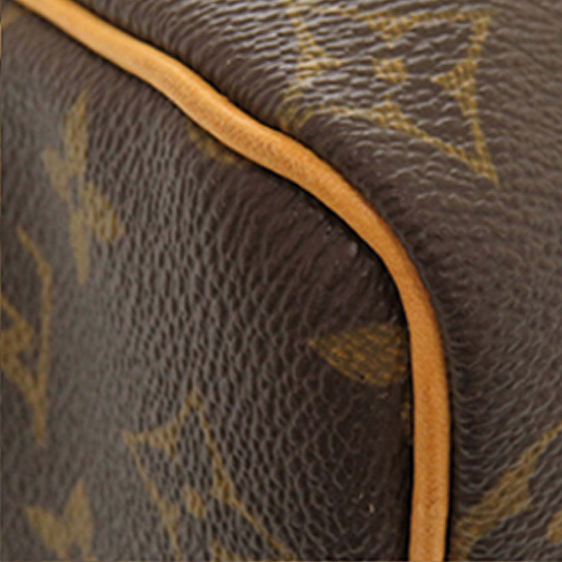 Louis Vuitton Monogram Speedy 25