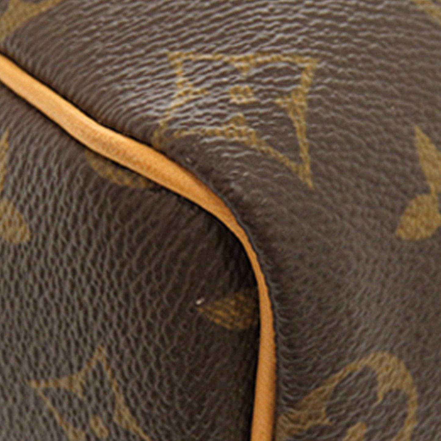 Louis Vuitton Monogram Speedy 25