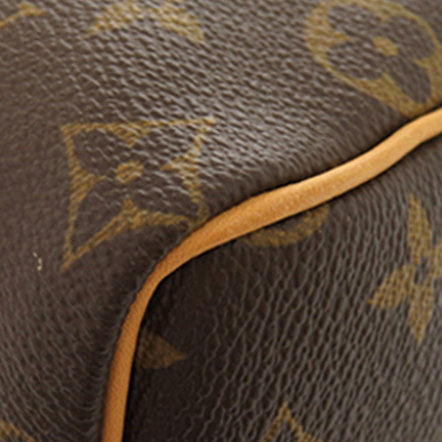 Louis Vuitton Monogram Speedy 25