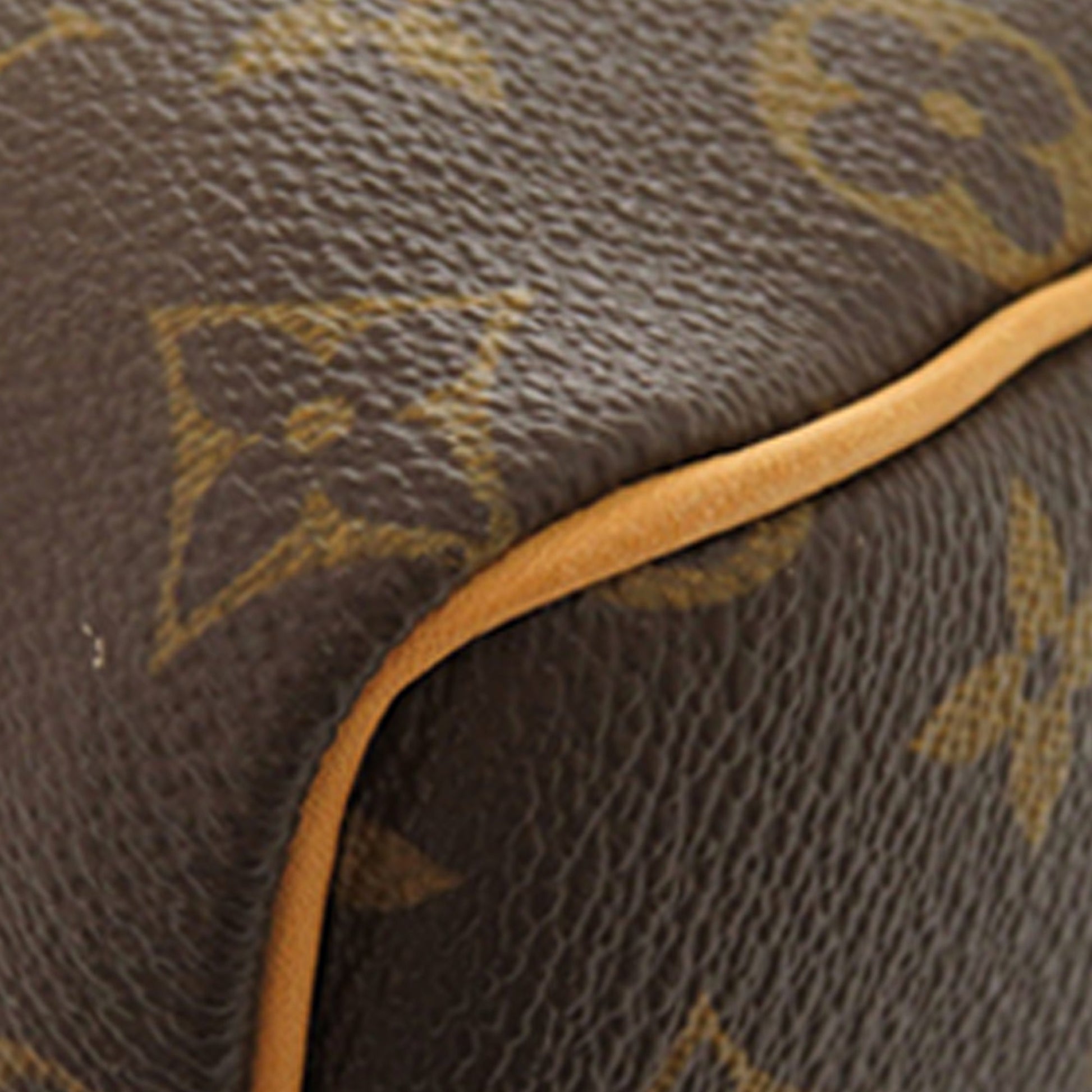 Louis Vuitton Monogram Speedy 25