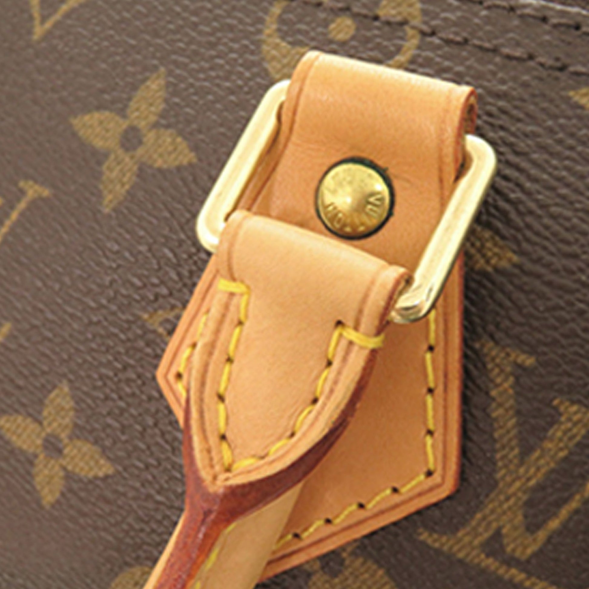 Louis Vuitton Monogram Speedy 25
