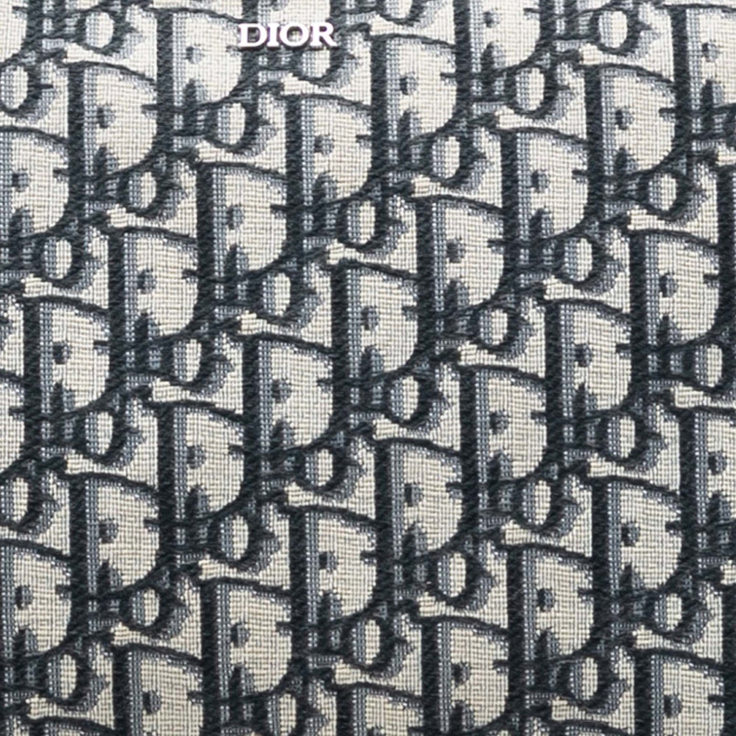 Dior Oblique Canvas Pouch