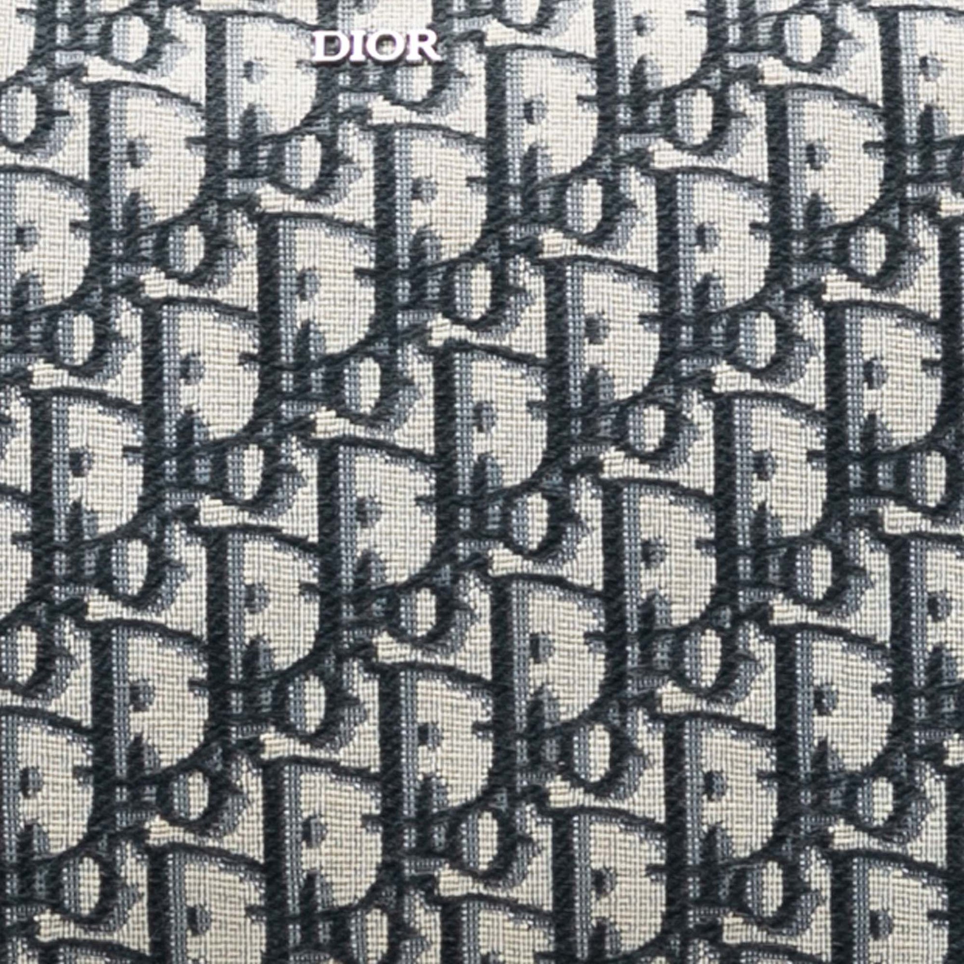Dior Oblique Canvas Pouch