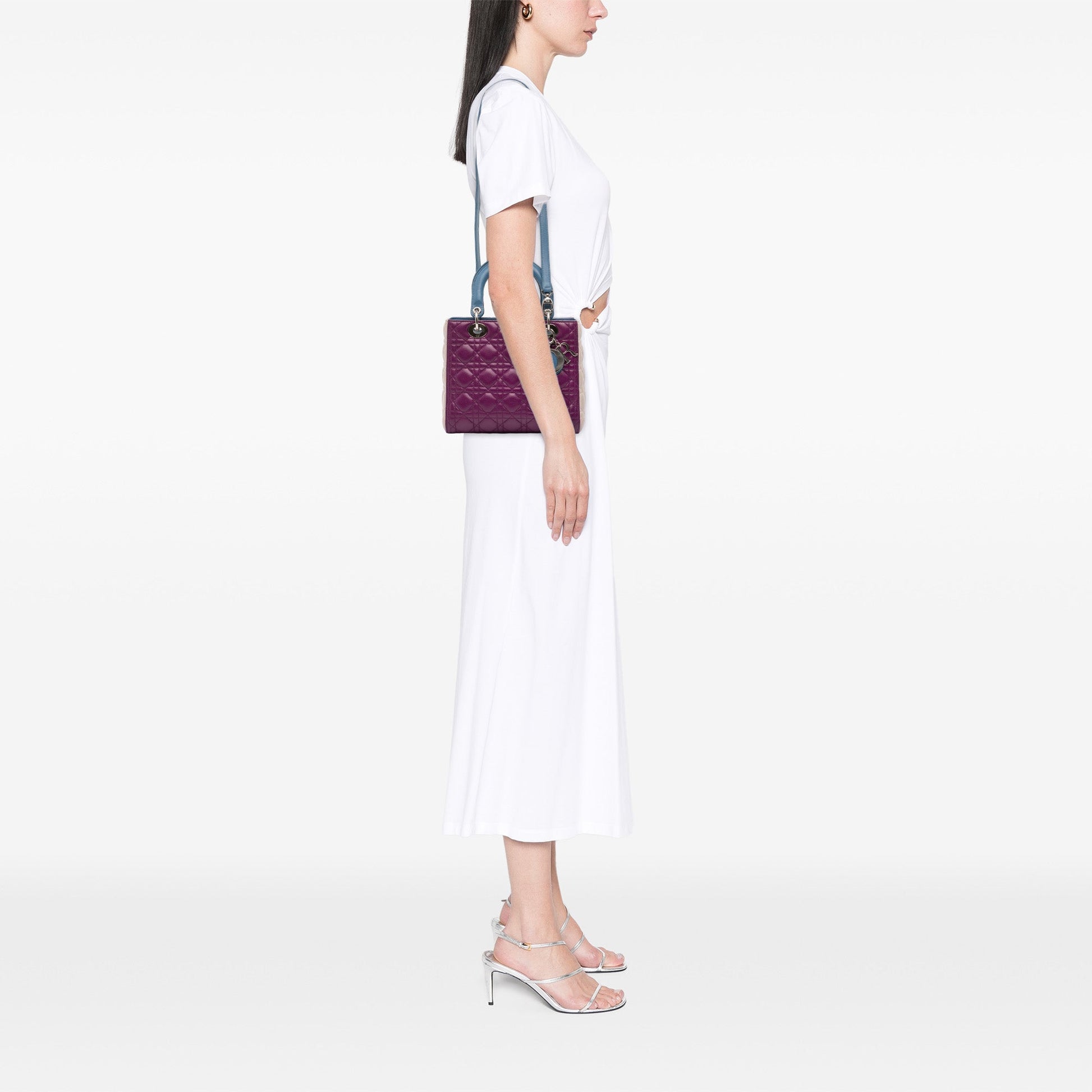 Dior Medium Tricolor Lambskin Cannage Lady Dior
