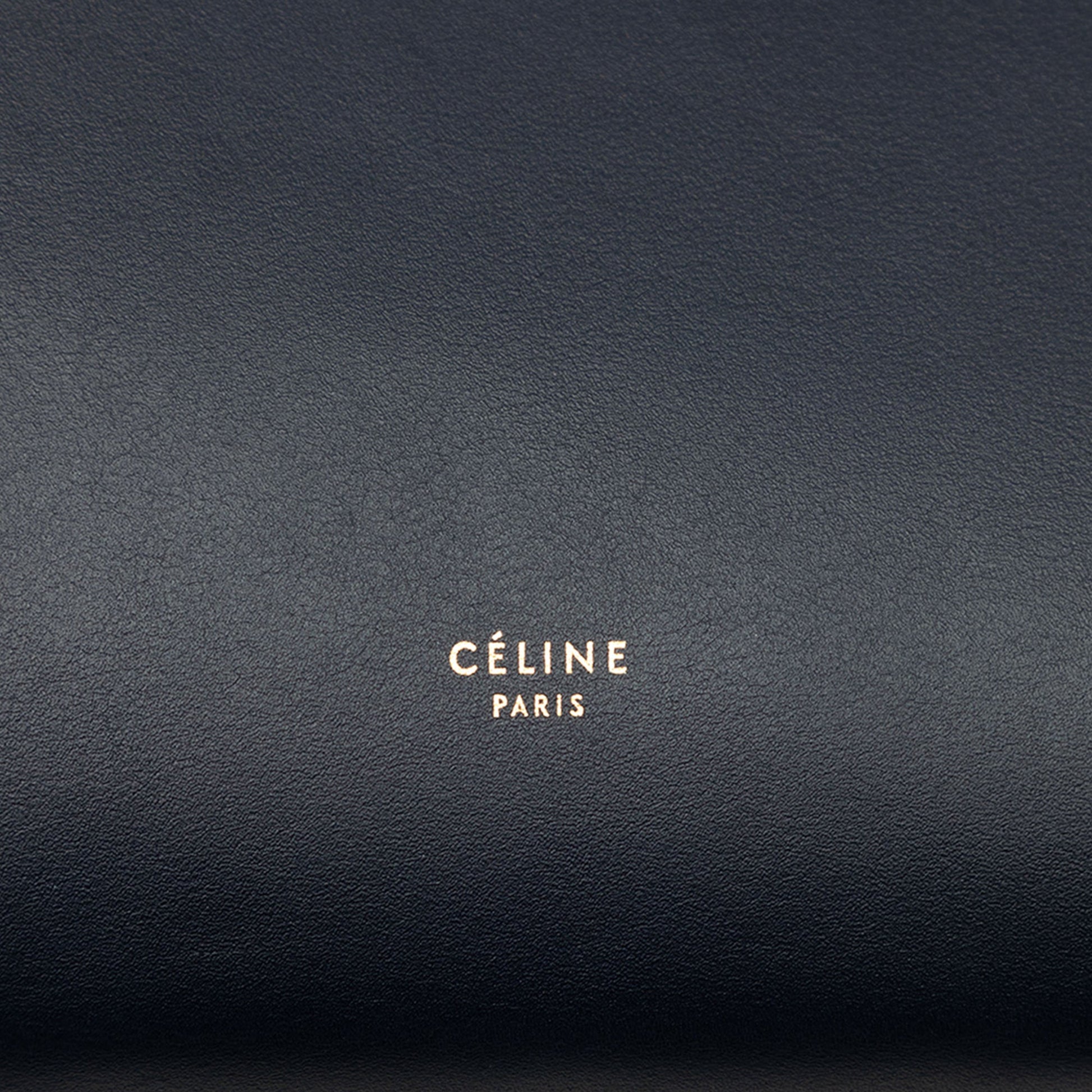 Celine Mini Bicolor Smooth Calfskin Belt Bag