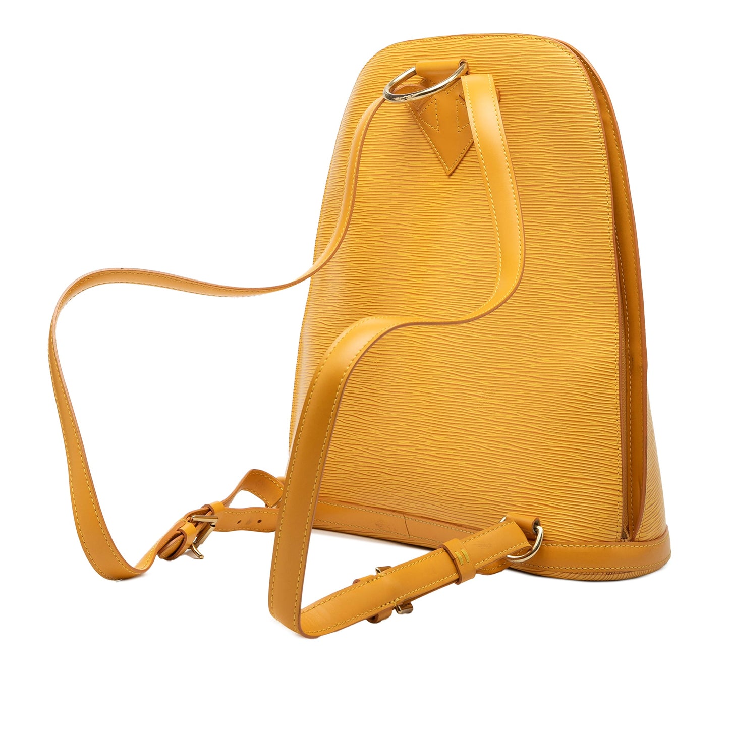 Louis Vuitton Epi Gobelins