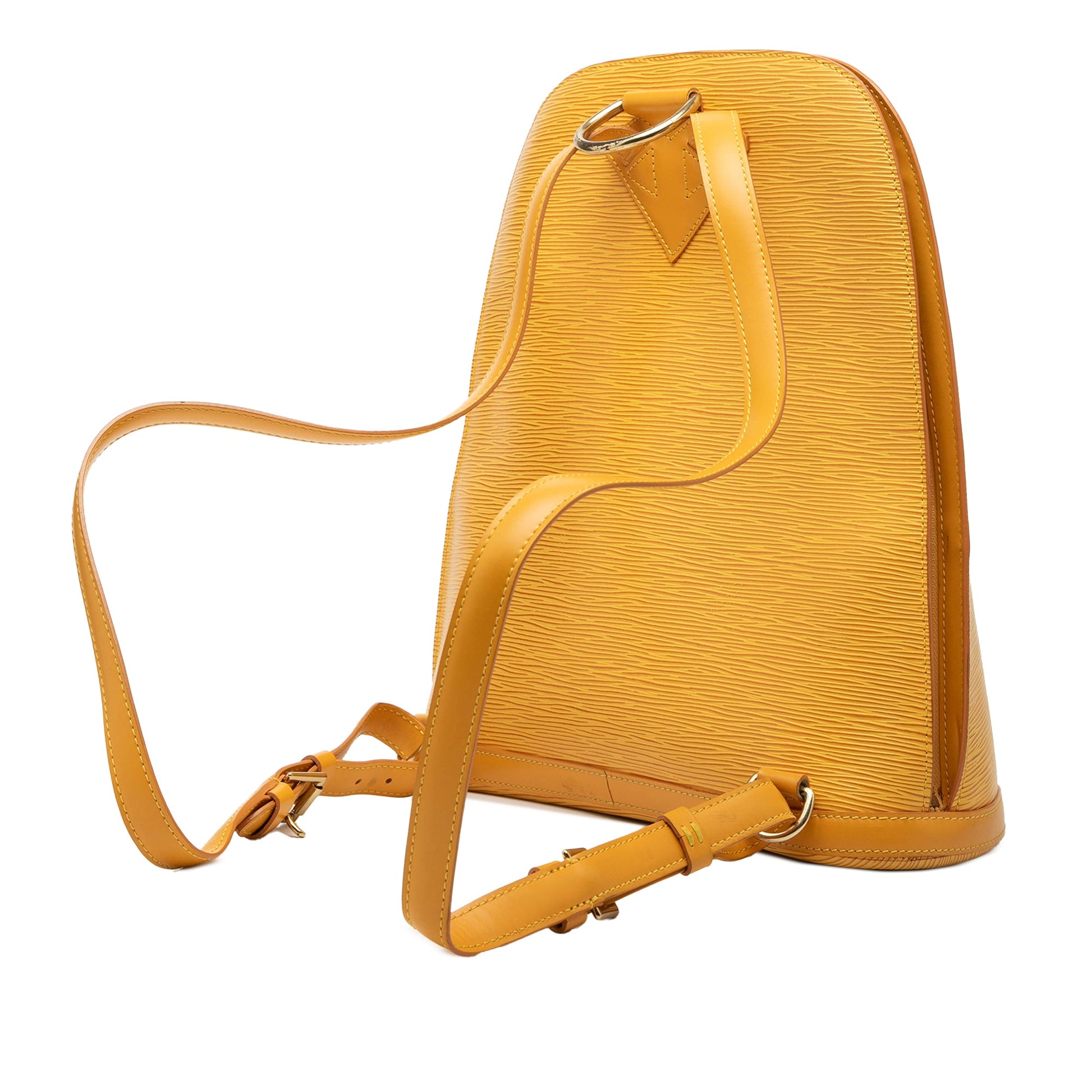 Louis Vuitton Epi Gobelins