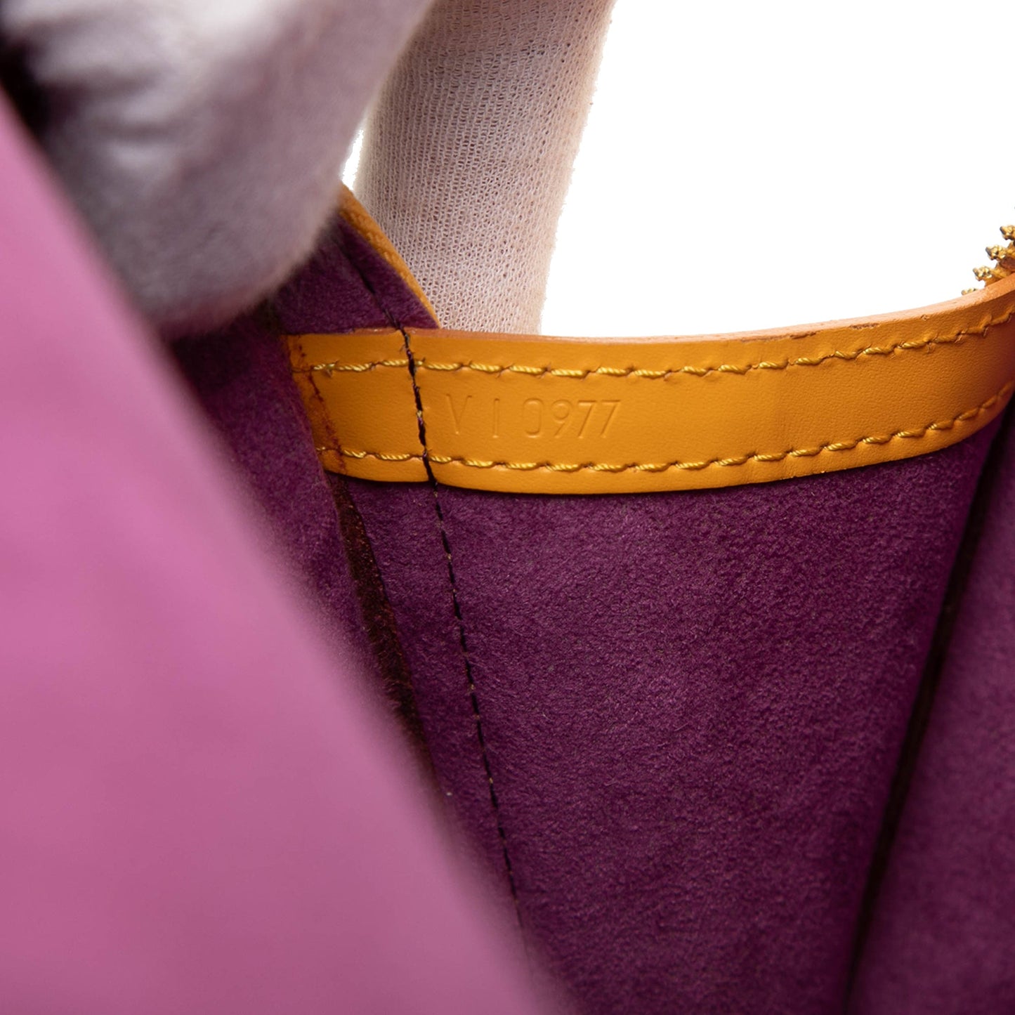 Louis Vuitton Epi Gobelins