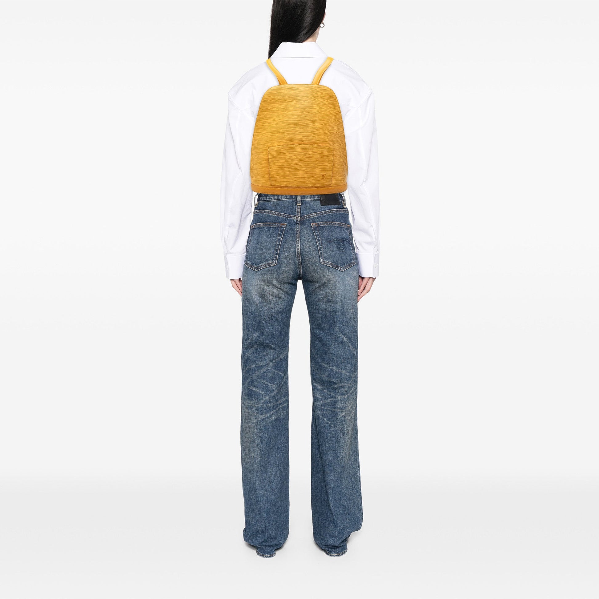 Louis Vuitton Epi Gobelins