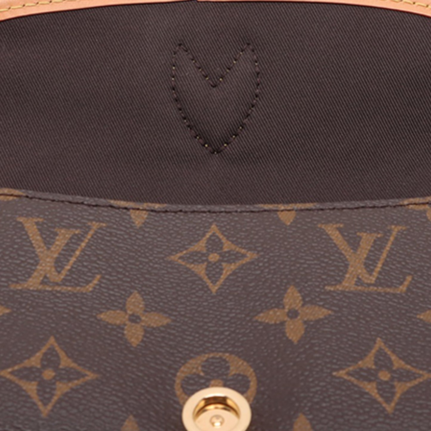 Louis Vuitton Monogram Nano Diane