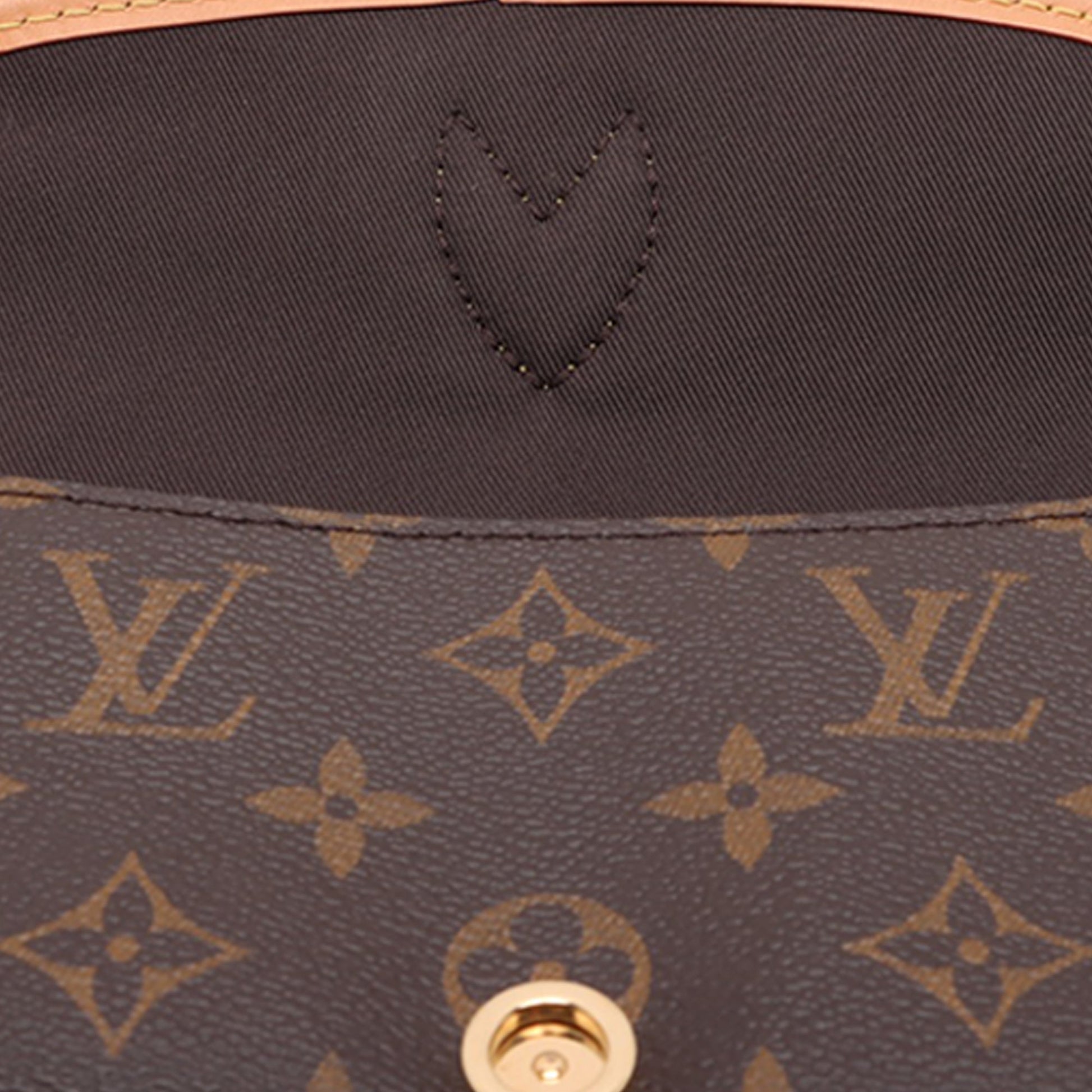 Louis Vuitton Monogram Nano Diane