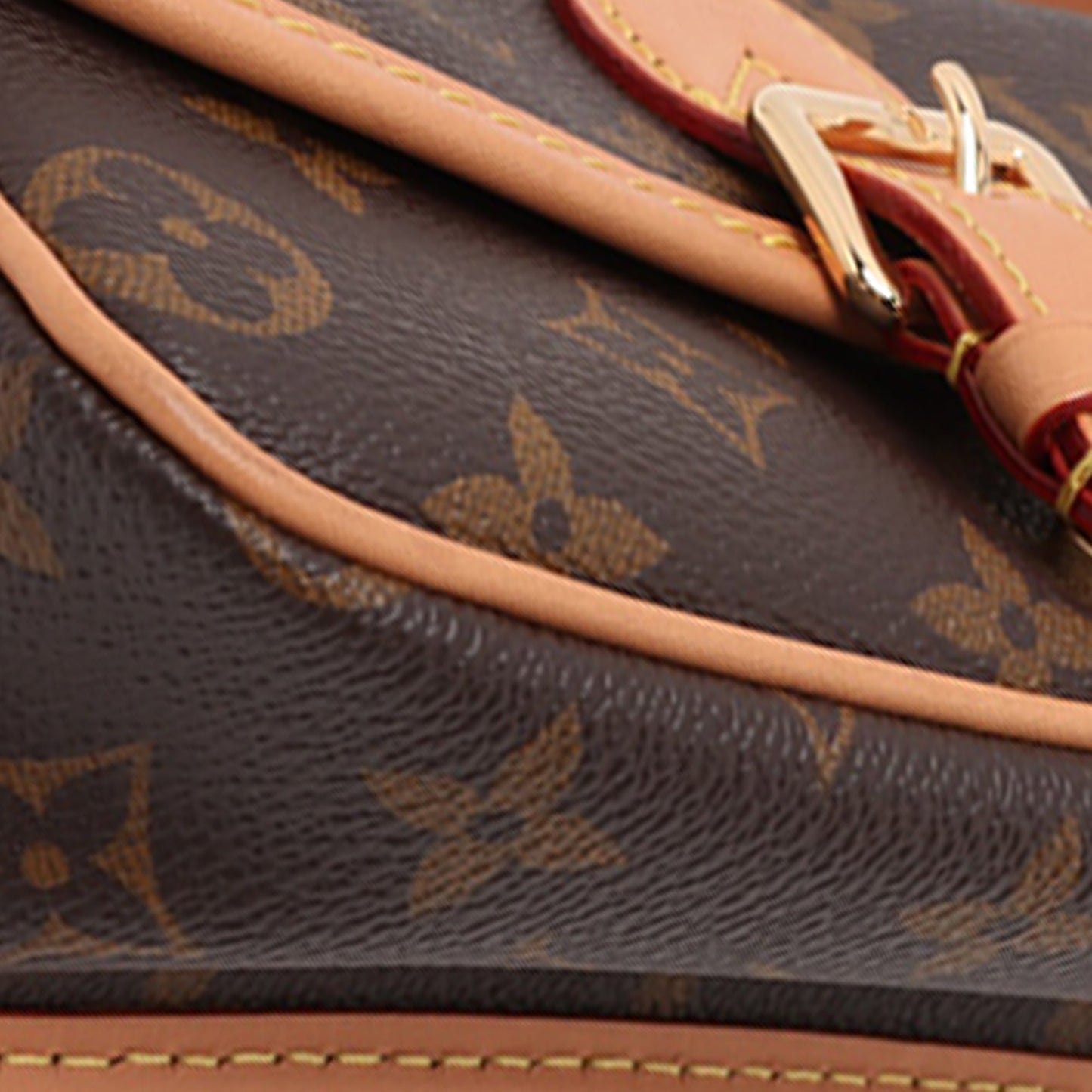 Louis Vuitton Monogram Nano Diane