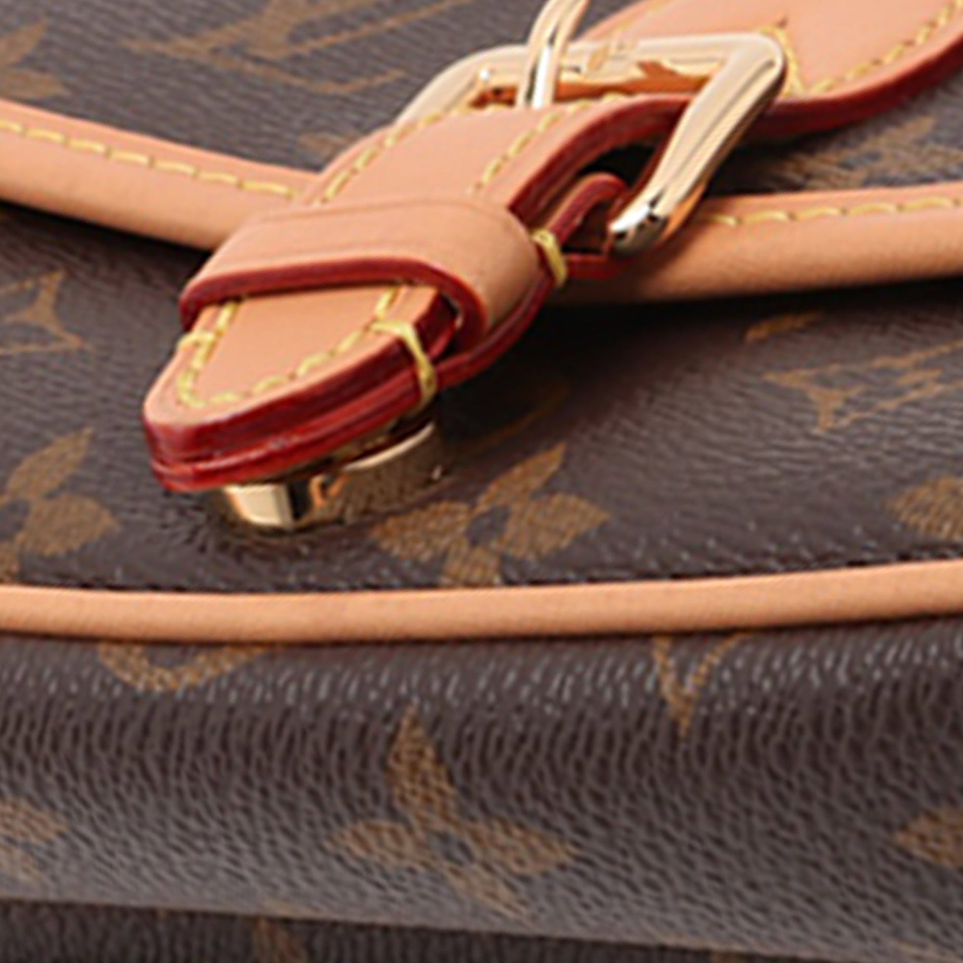 Louis Vuitton Monogram Nano Diane