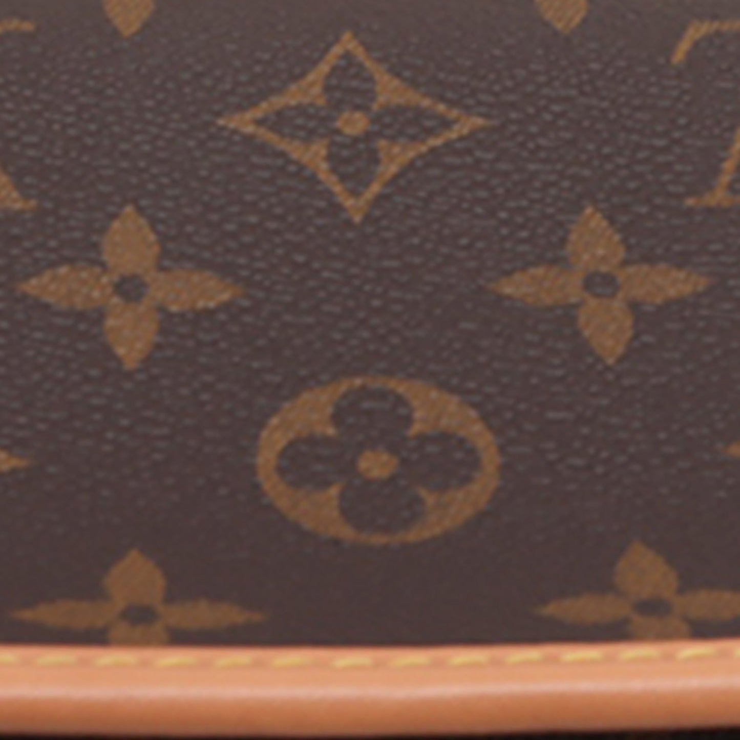 Louis Vuitton Monogram Nano Diane