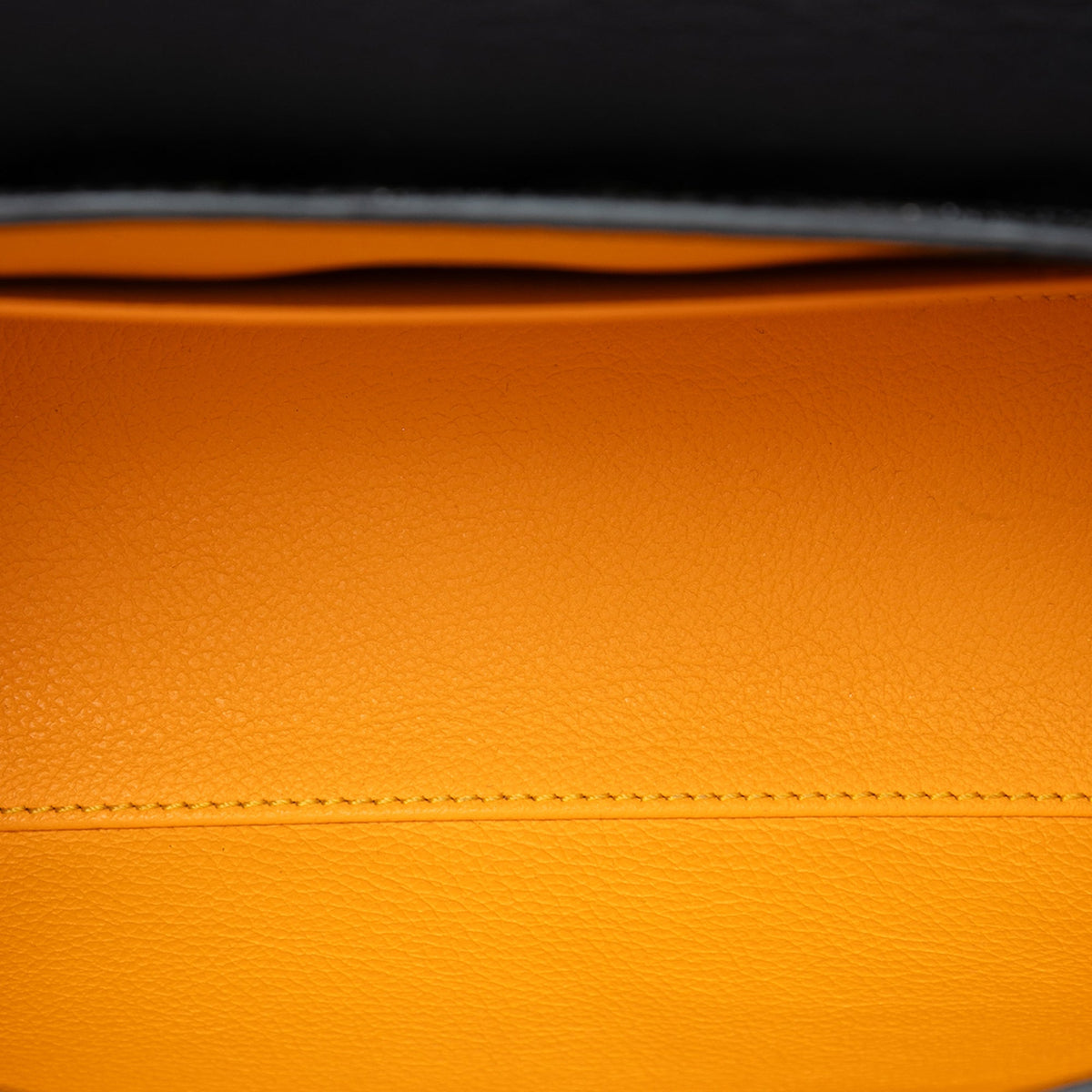 Goyard Mini Goyardine Saigon Souple