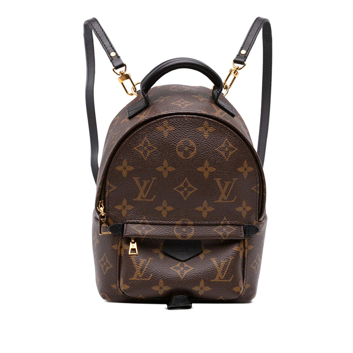 Louis Vuitton Monogram Mini Palm Springs — Brown