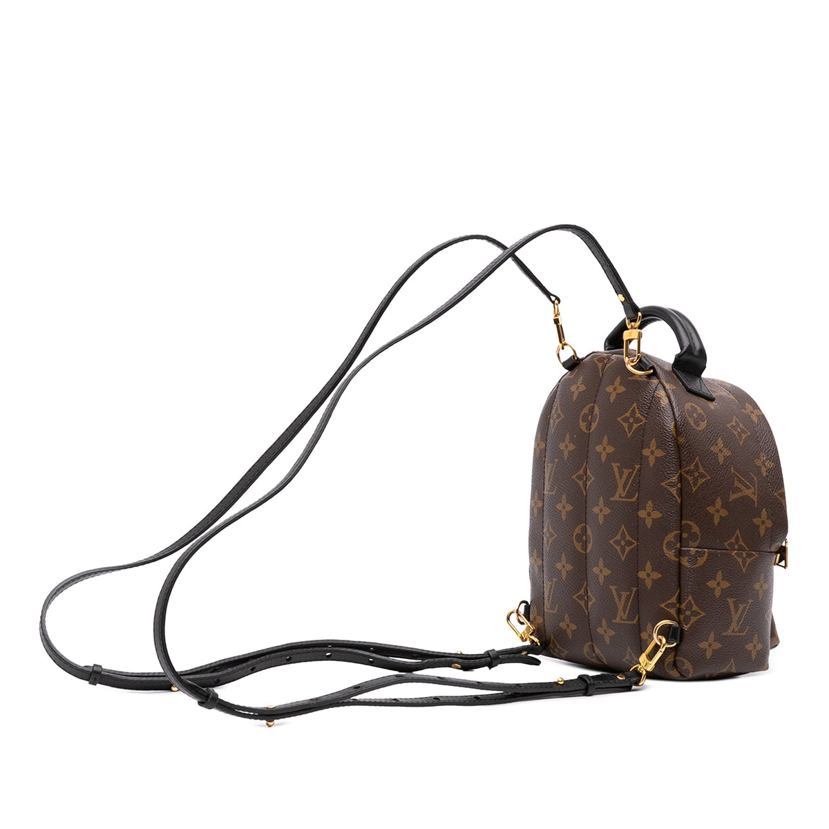 Louis Vuitton Monogram Mini Palm Springs — Brown