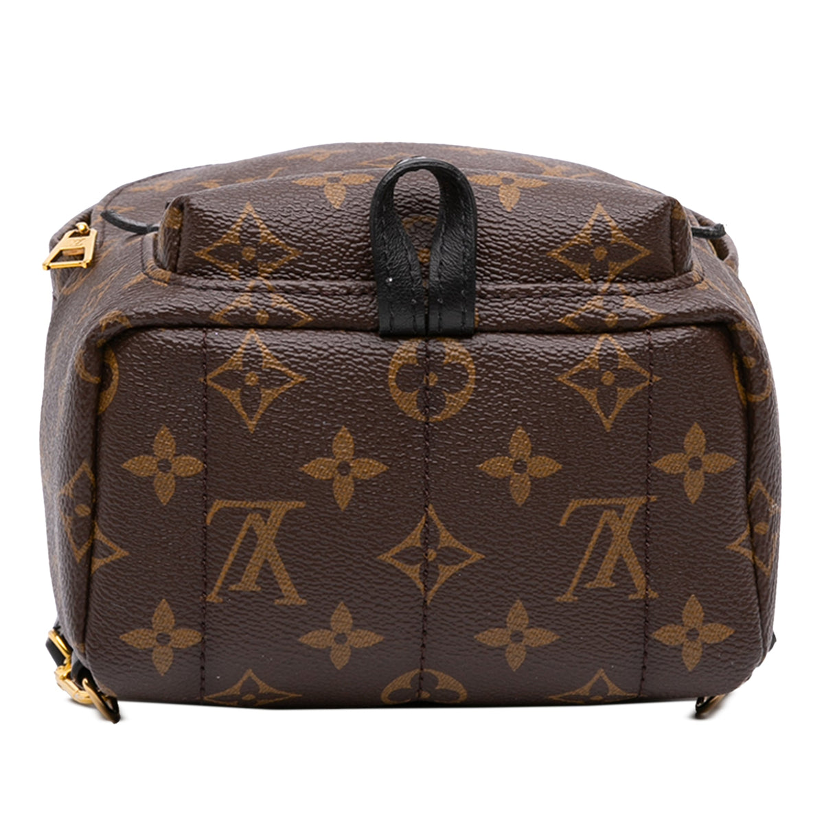 Louis Vuitton Monogram Mini Palm Springs — Brown
