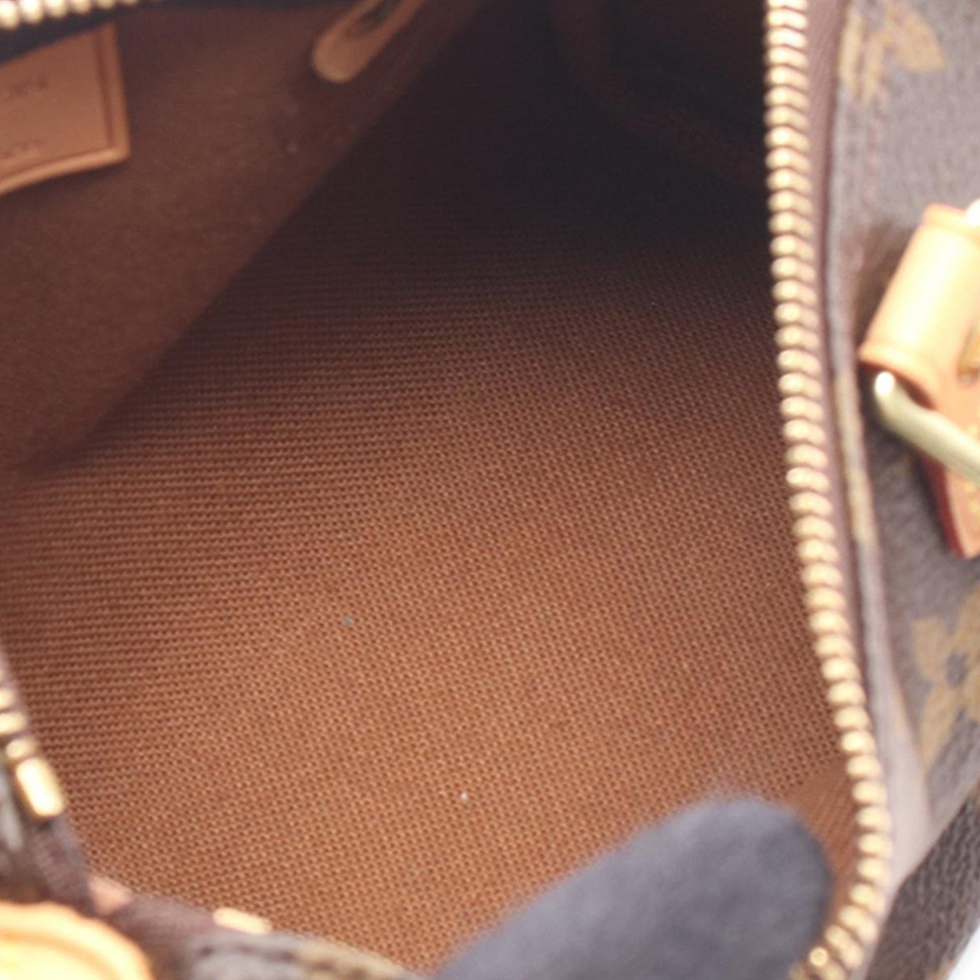 Louis Vuitton Monogram Mini Speedy HL