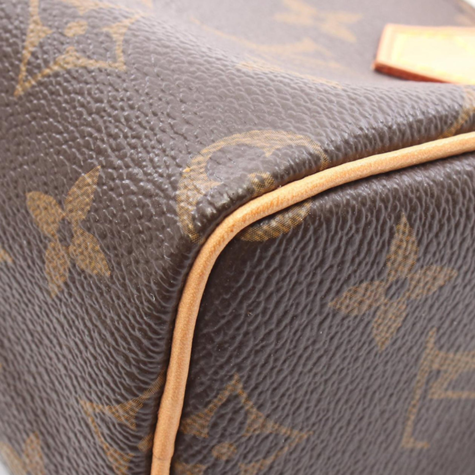 Louis Vuitton Monogram Mini Speedy HL