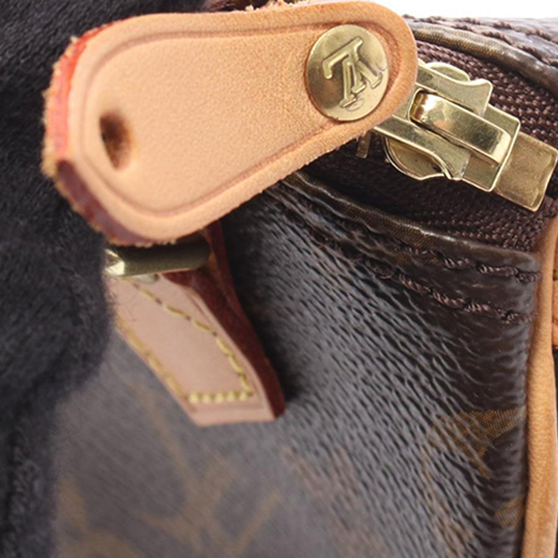 Louis Vuitton Monogram Mini Speedy HL