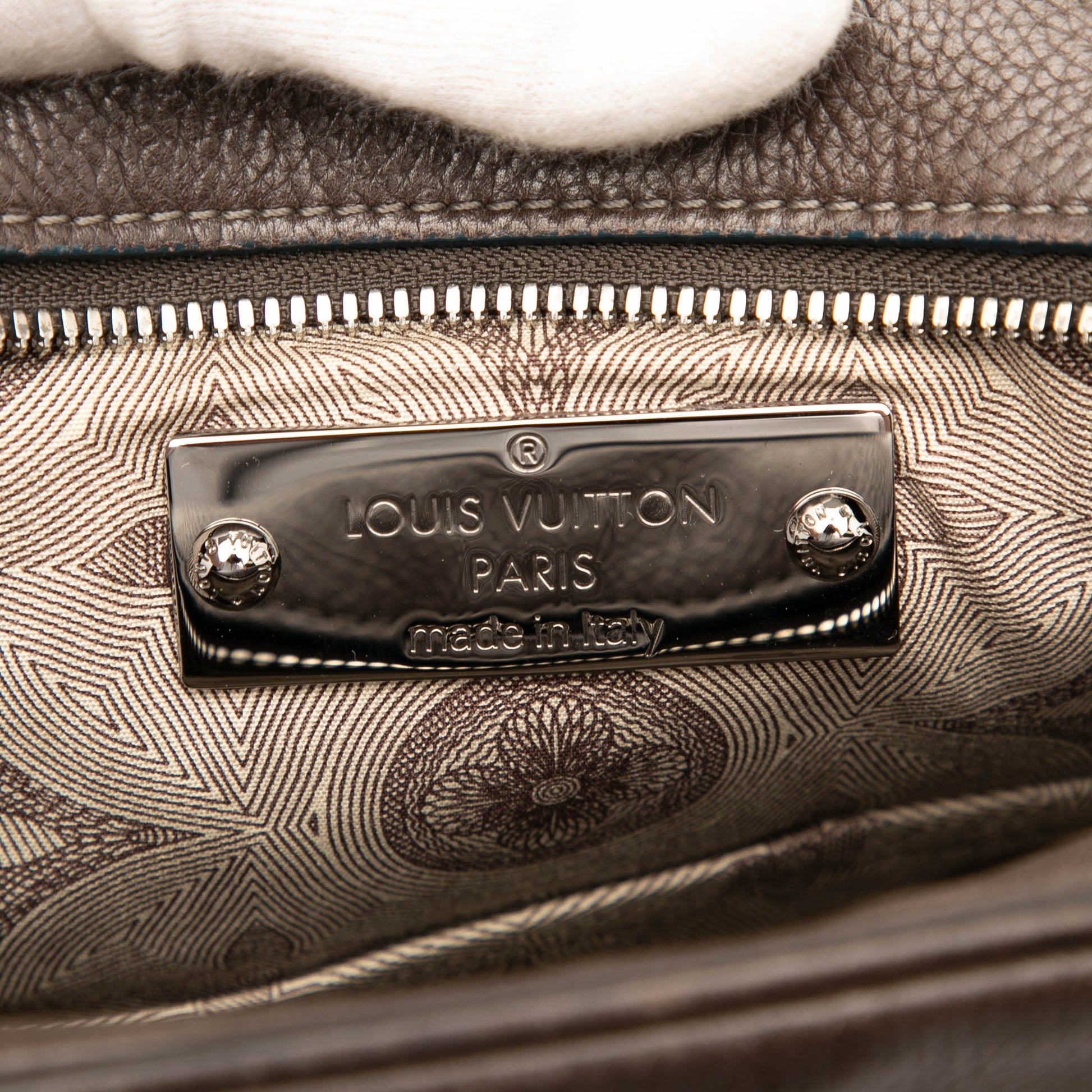 Louis Vuitton Leather Bequia Trotter MM