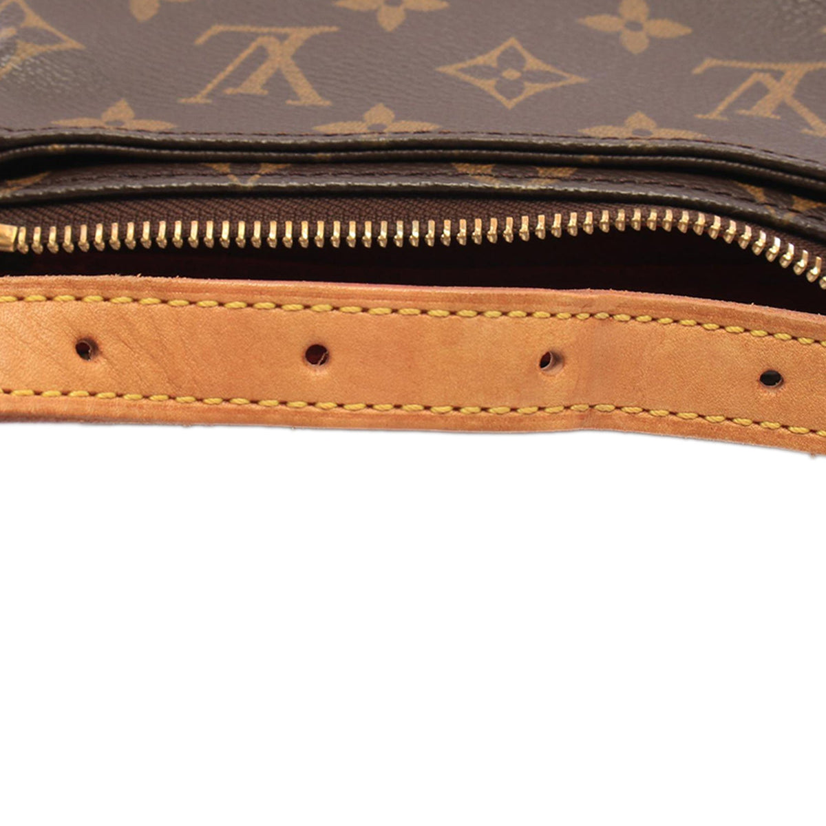 Louis Vuitton Monogram Viva Cite PM — Brown