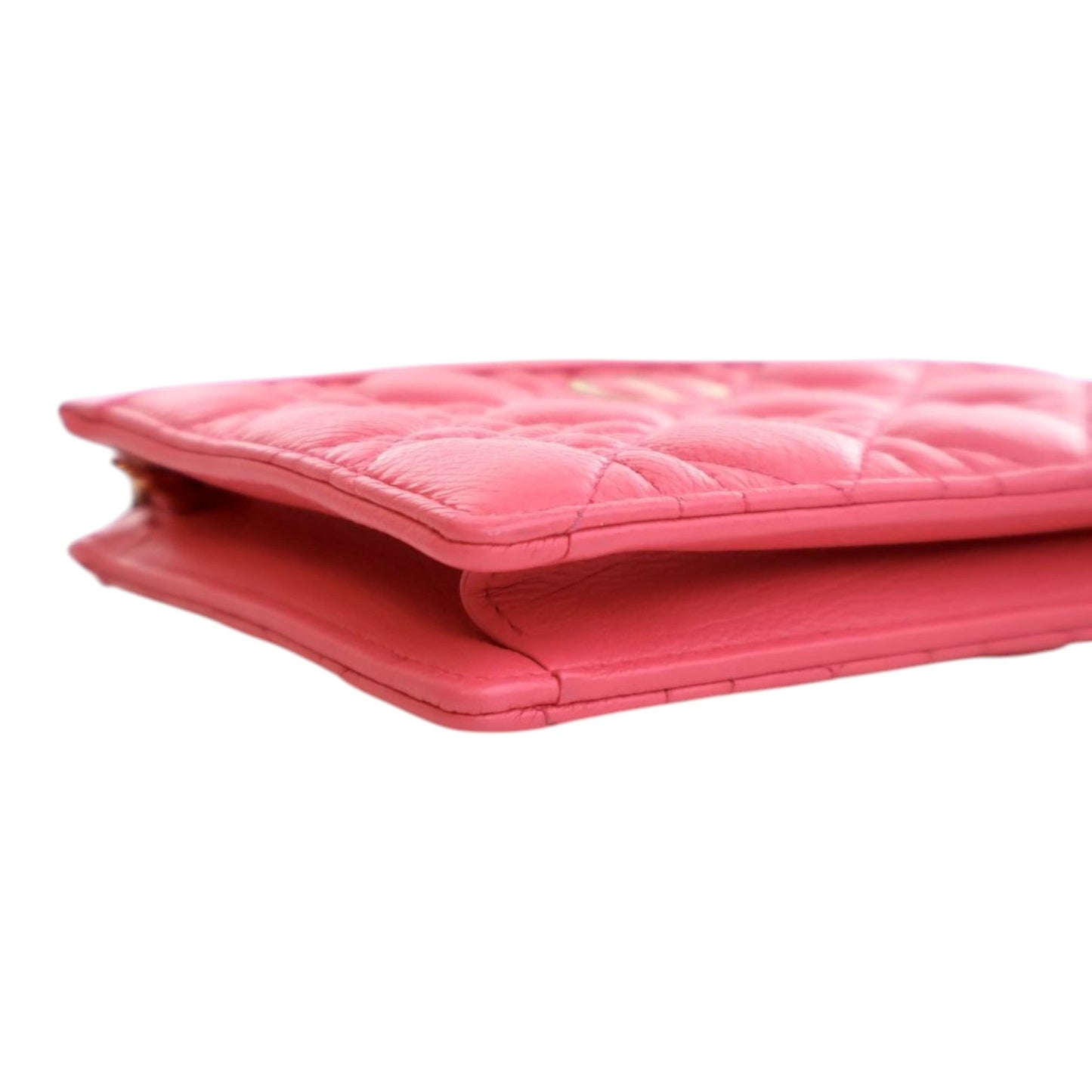 Dior Supple Cannage Calfskin Caro Every Dior Pouch