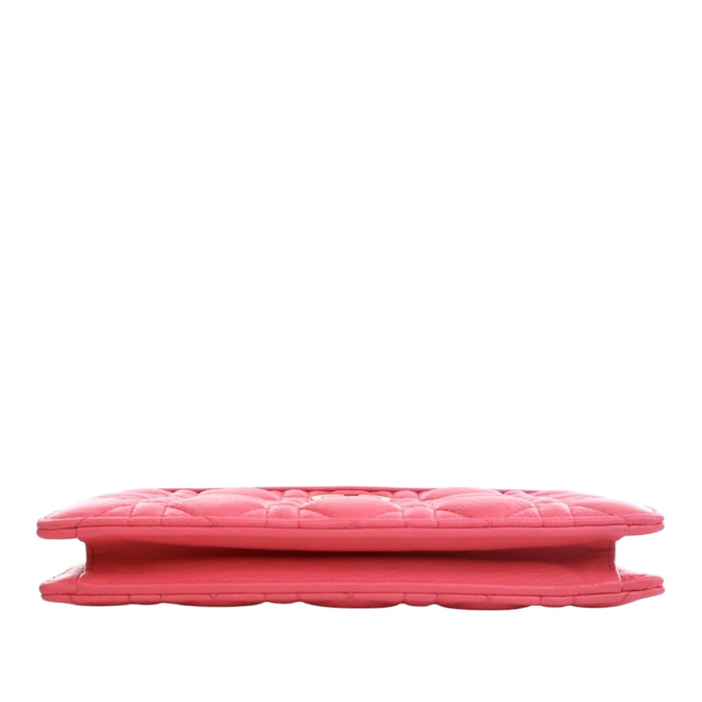 Dior Supple Cannage Calfskin Caro Every Dior Pouch