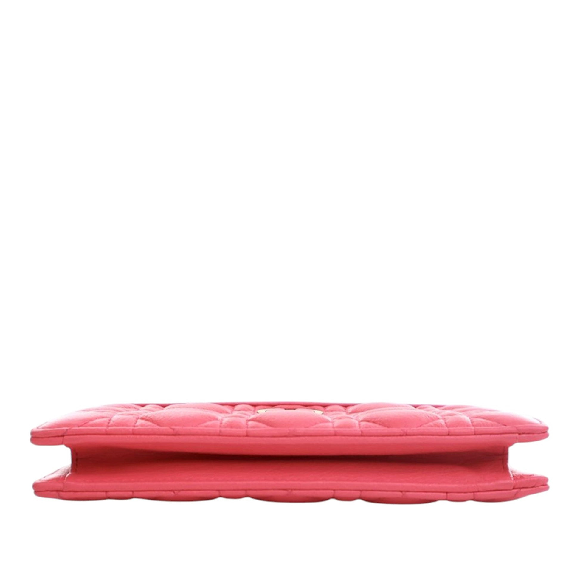 Dior Supple Cannage Calfskin Caro Every Dior Pouch
