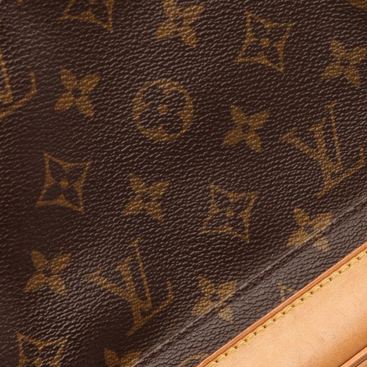 Louis Vuitton Monogram Montsouris GM — Brown