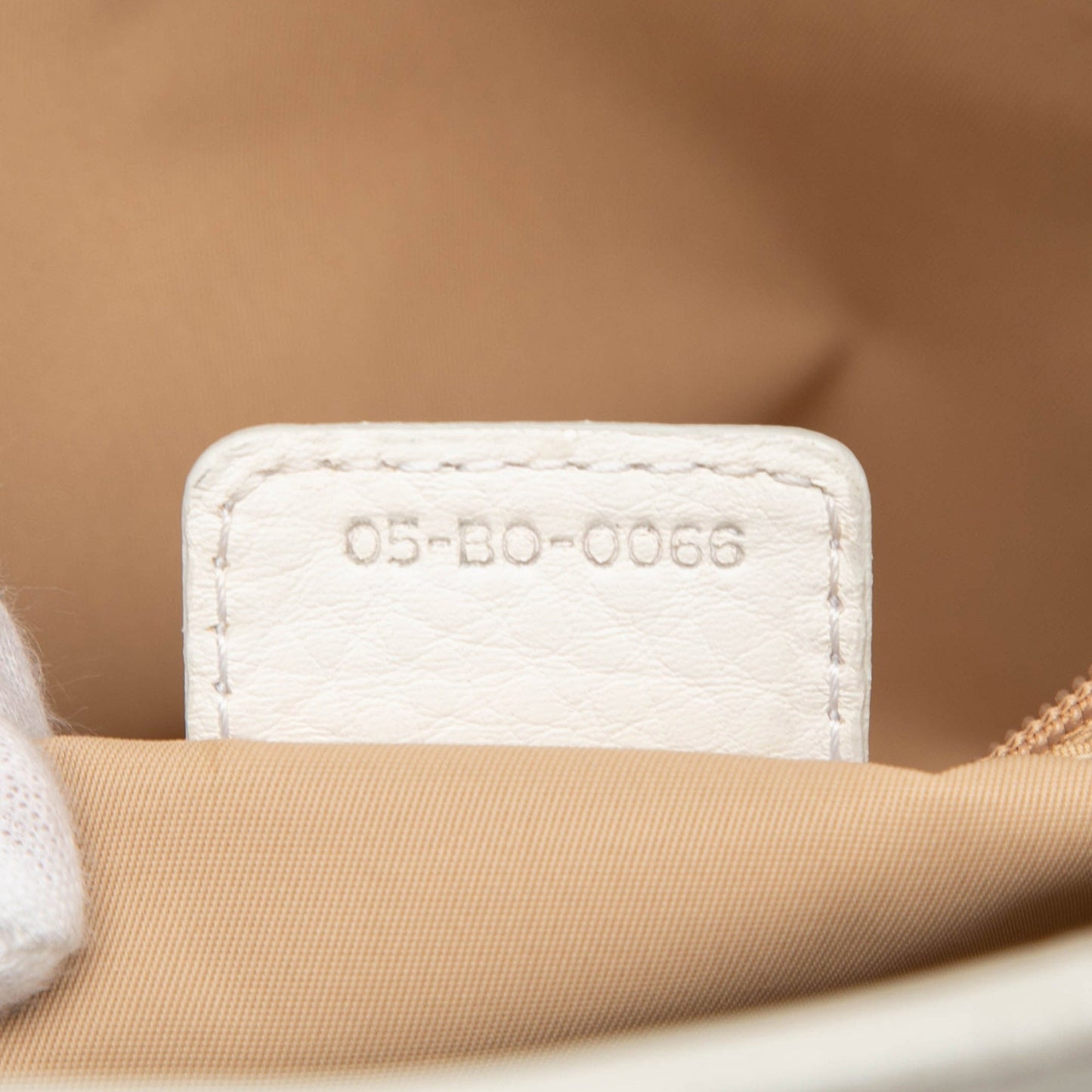 Dior Diorissimo Trotter Canvas Street Chic Tote